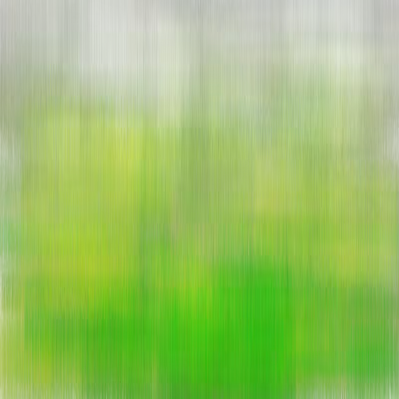 Hatch Field 001 #183