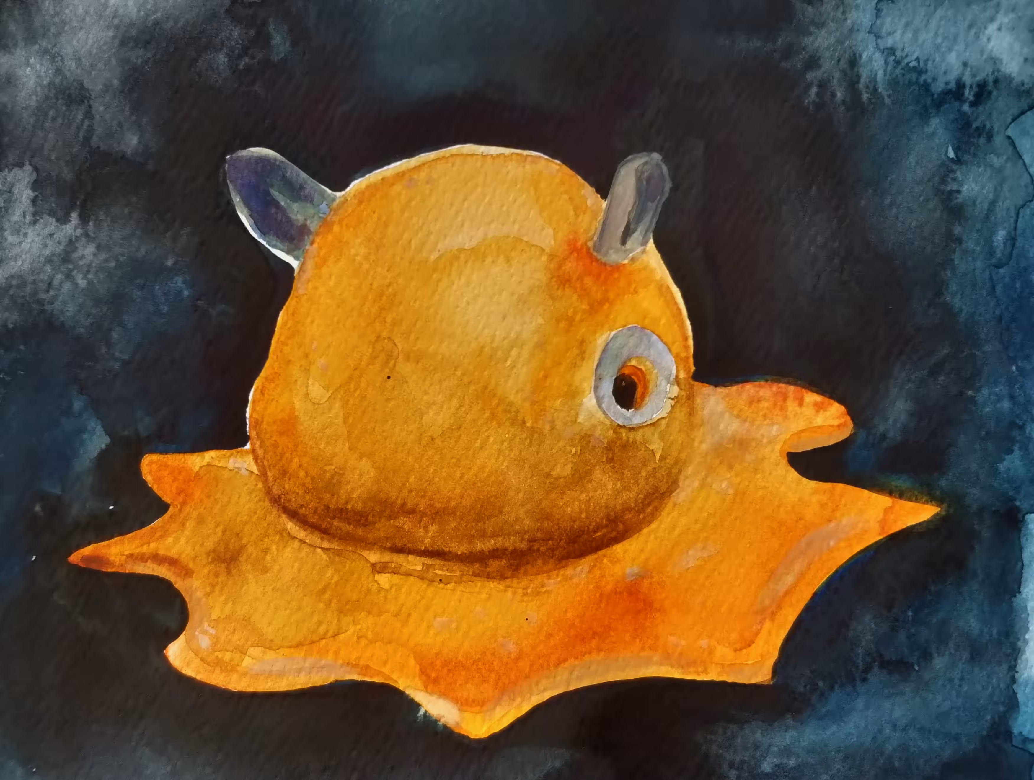 Dumbo Octopus