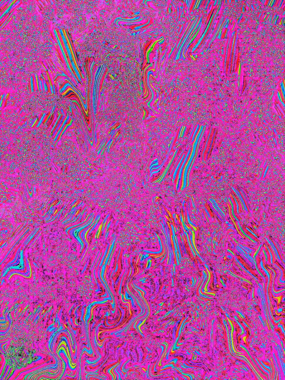 A Close up of a Pink Tiger Lily Petal After Being Licked by a Cow with a Rainbow Tongue