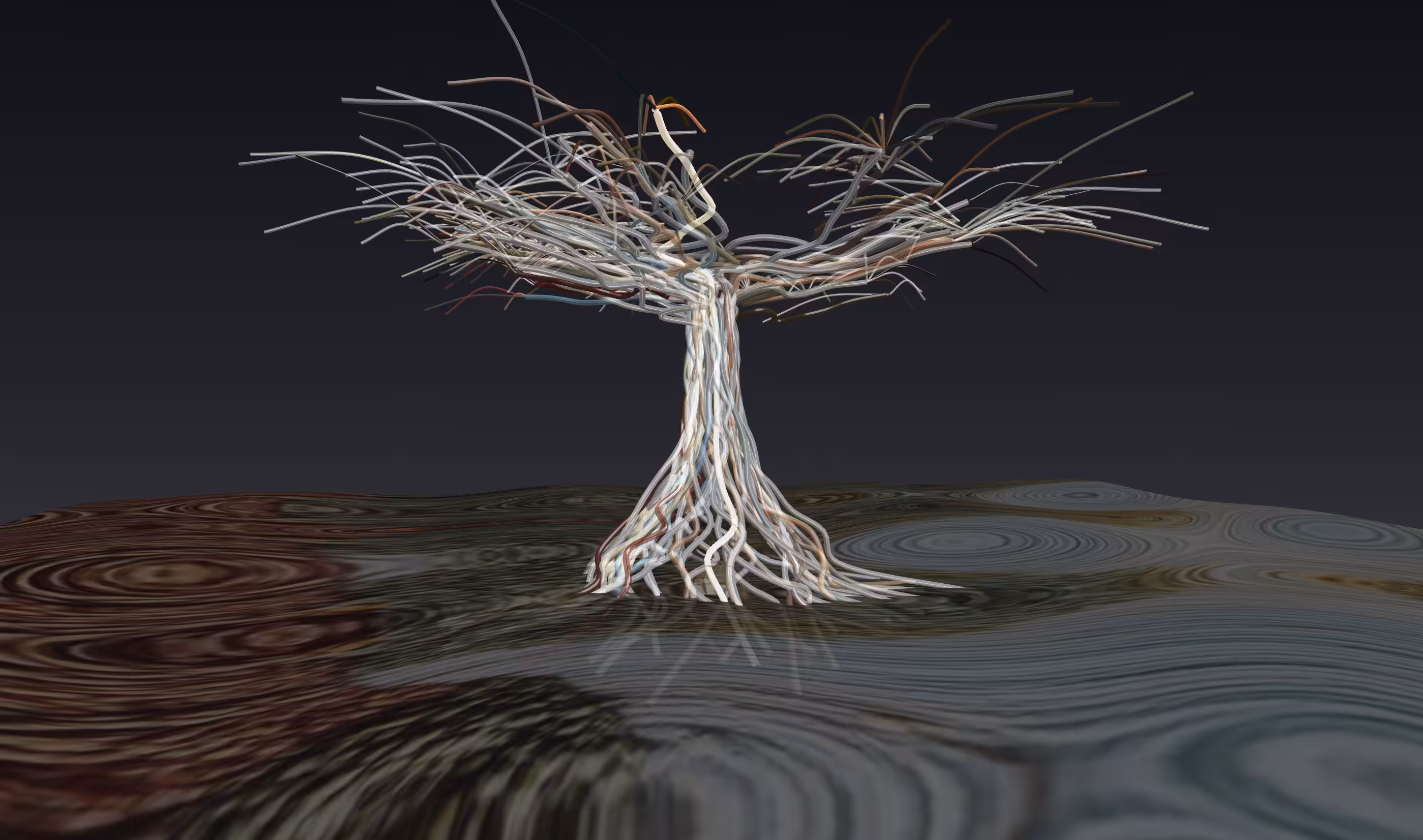 Always Has Been: Fenestra Animae: Acupictura