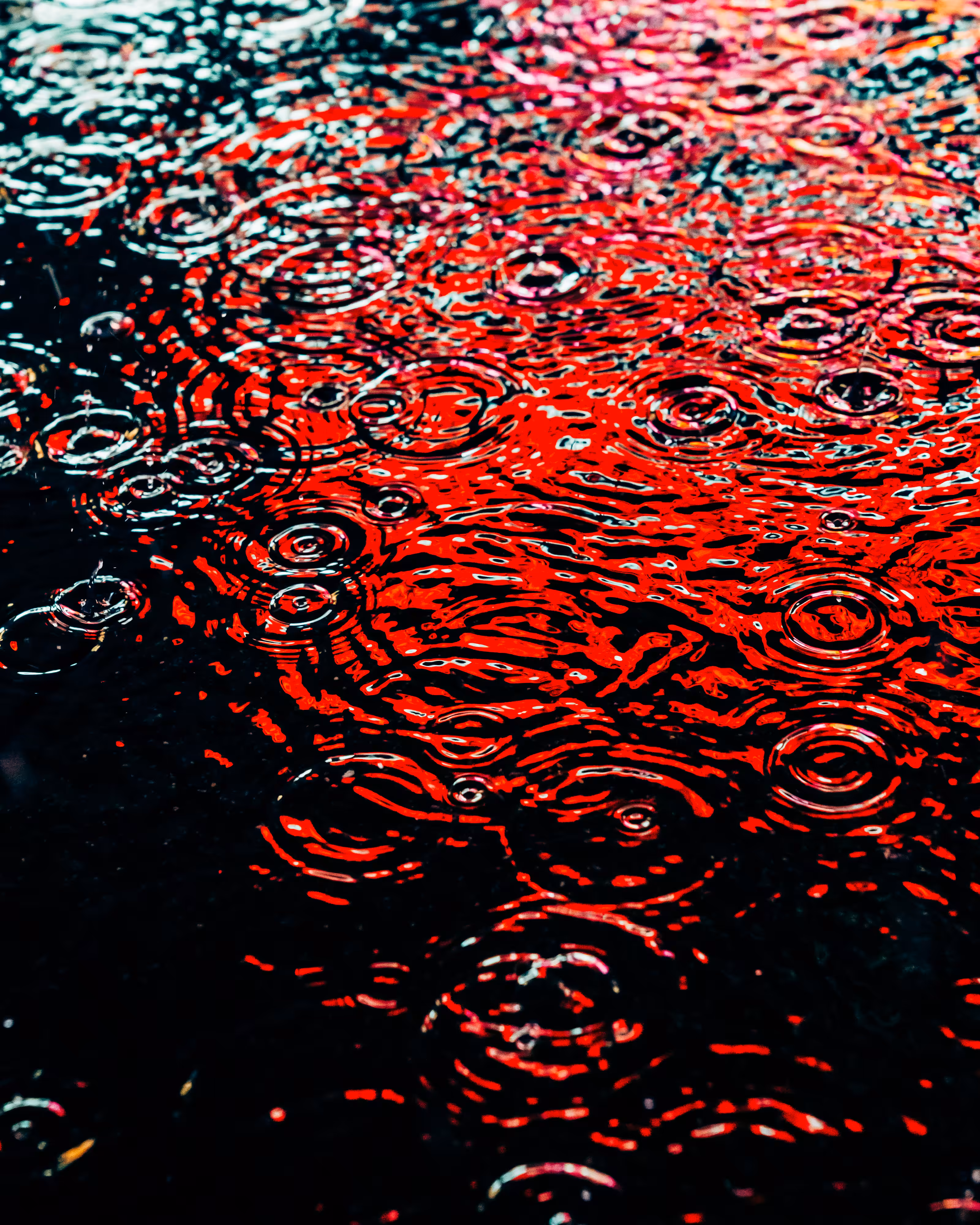 DRIP #289