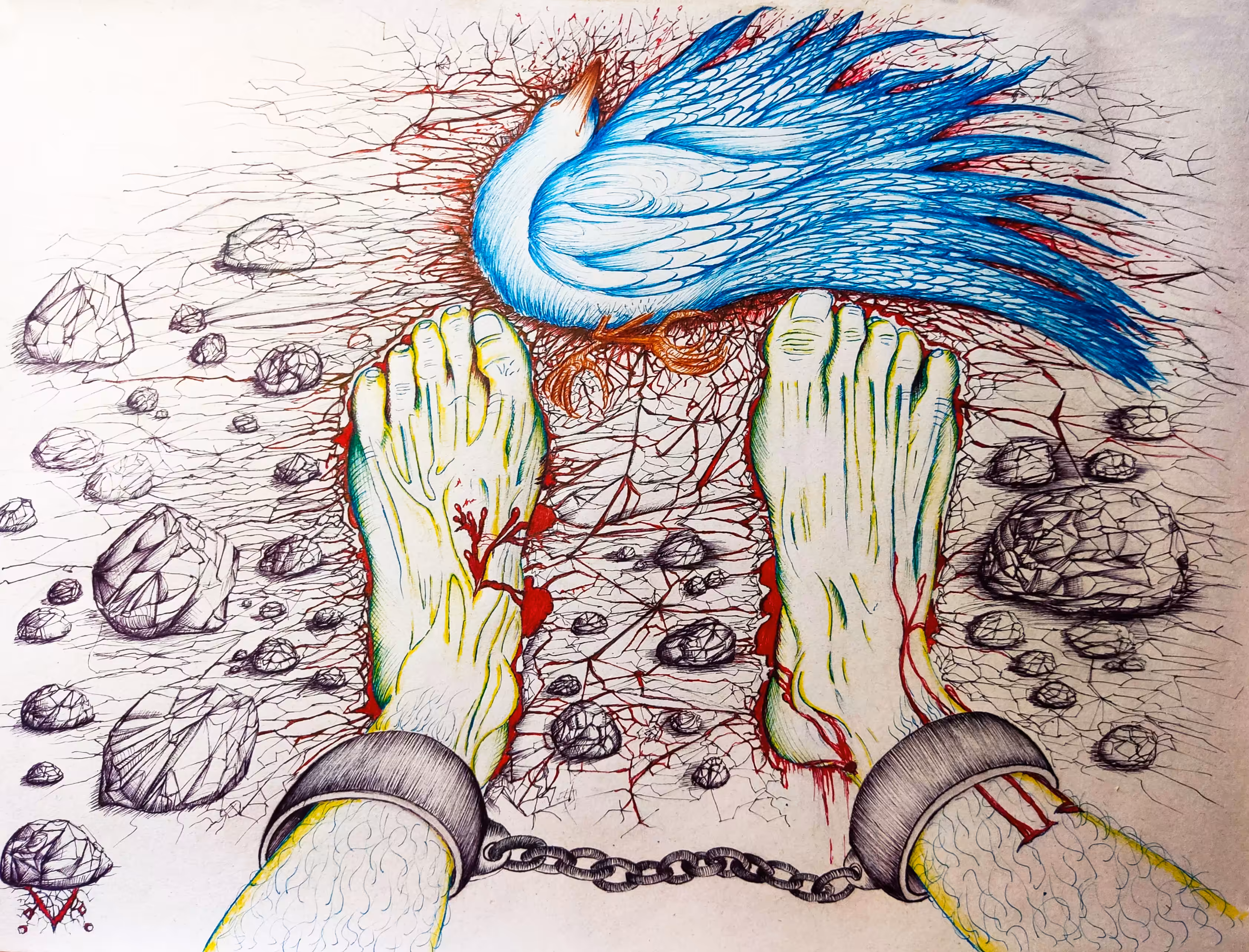 The descent of the blue dove