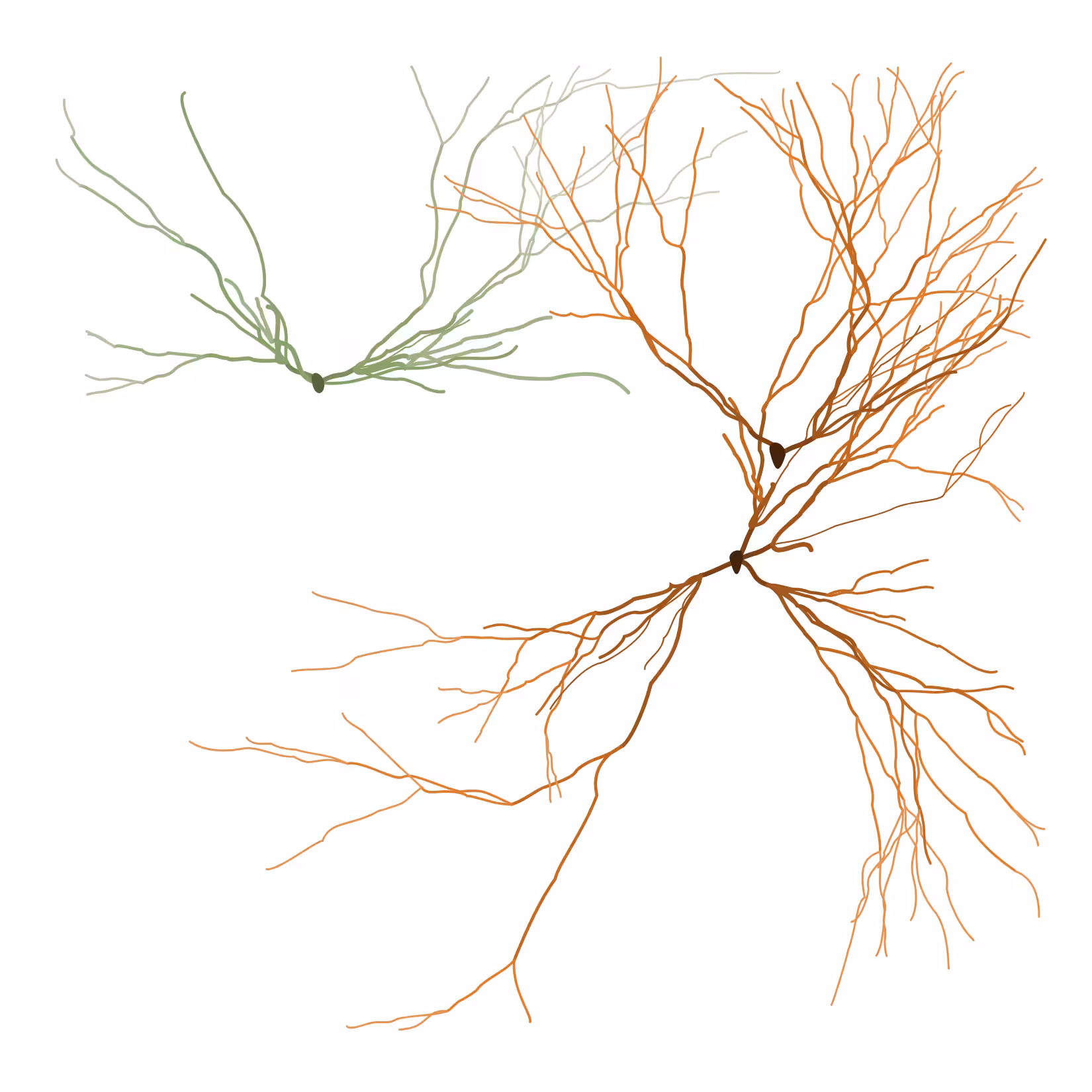 Ghost Forest Seedlings: Ghost Forest Seedling #148