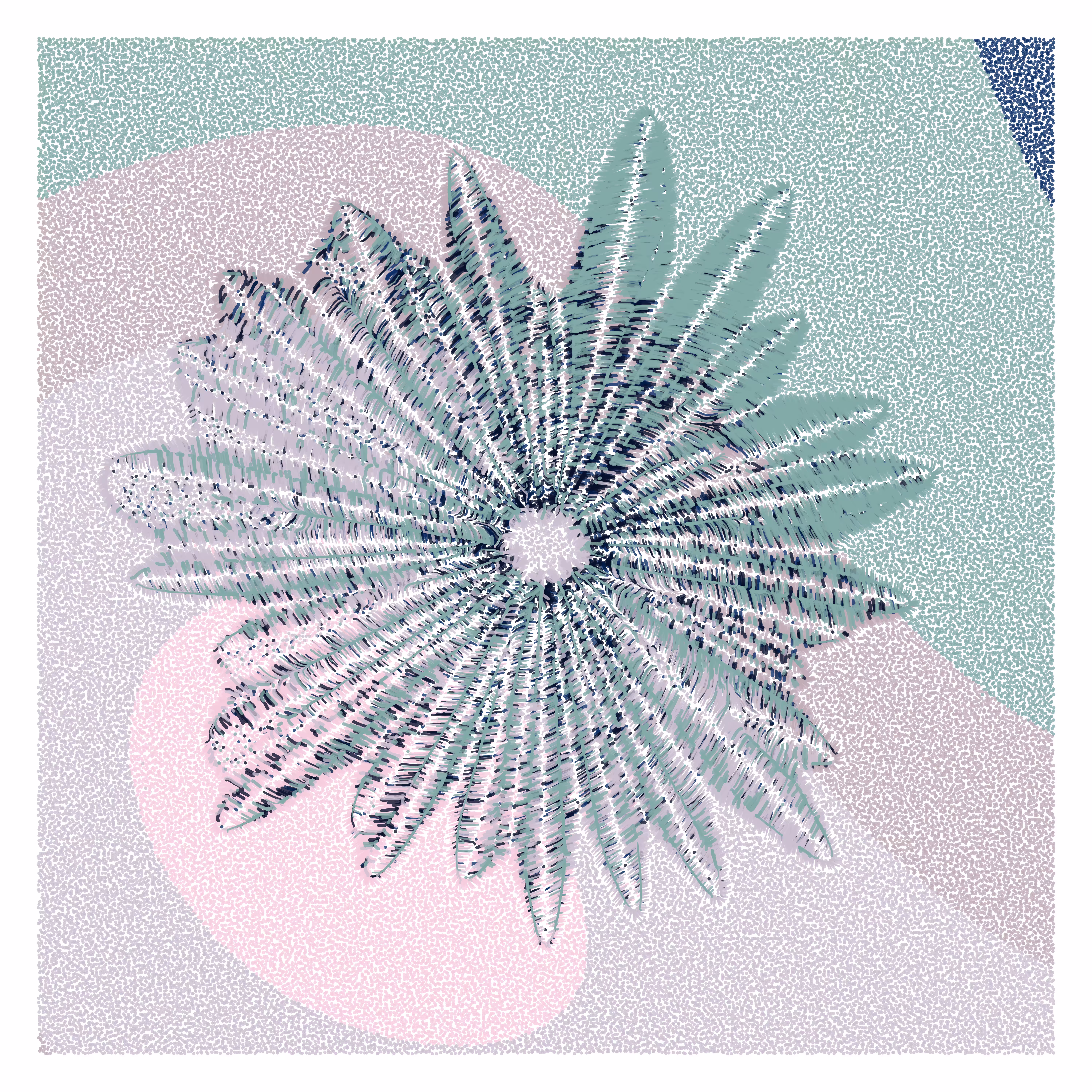 Flower Portrait #1