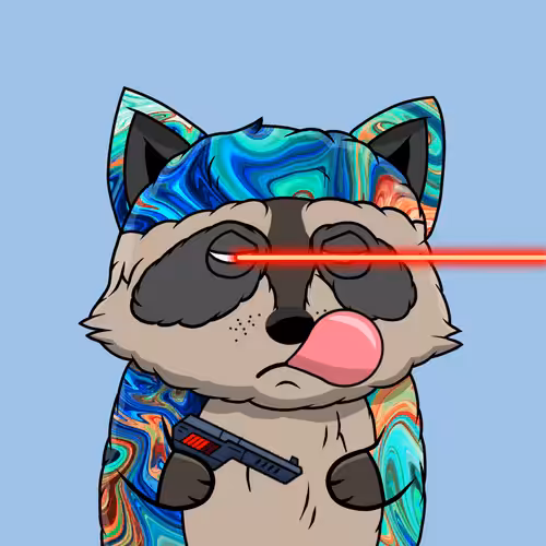 Raccoon #1298