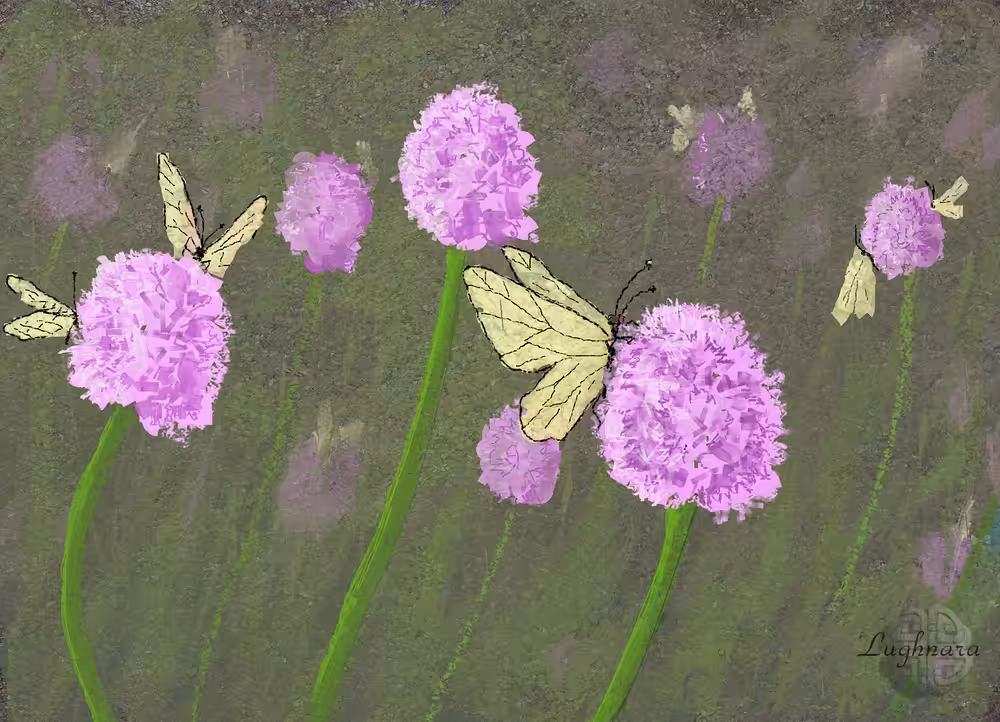Allium and butterflies