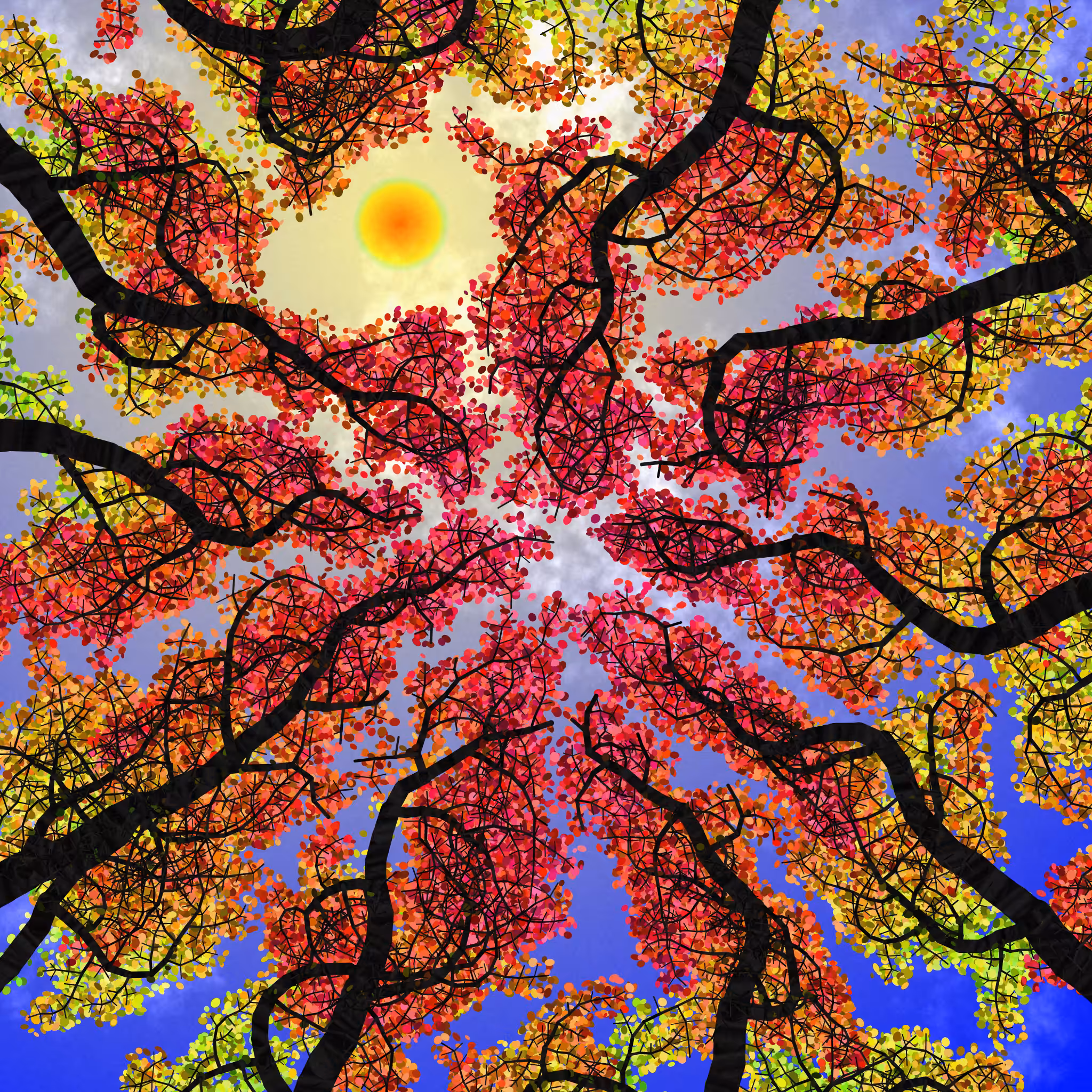 Tree Skyness #215