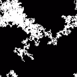 Roseate Resonance 152