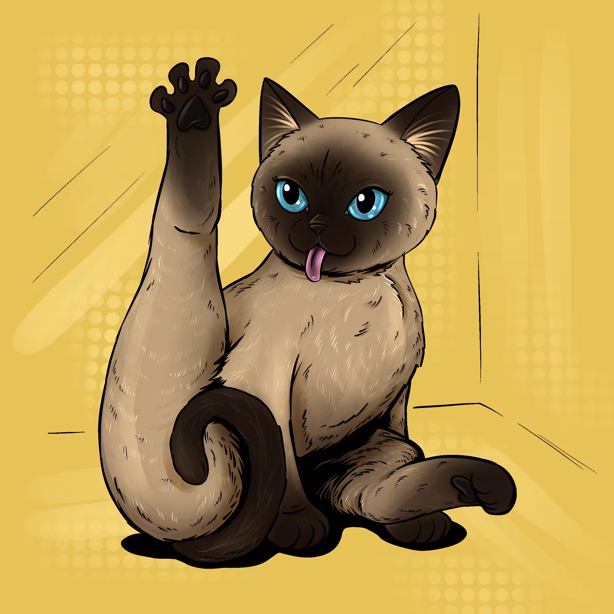 Something special about one cat