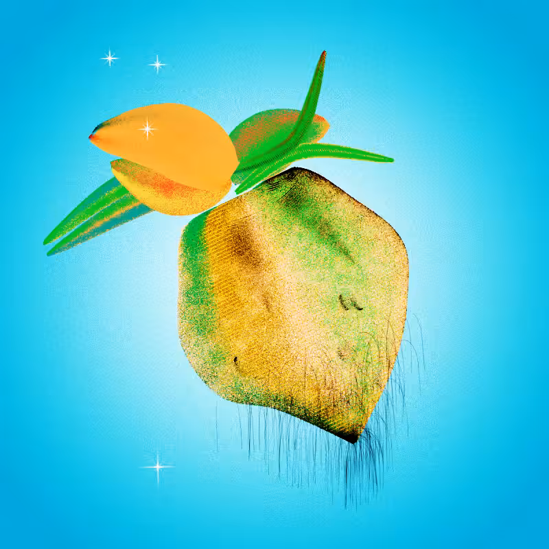 Fresh Fruit #51