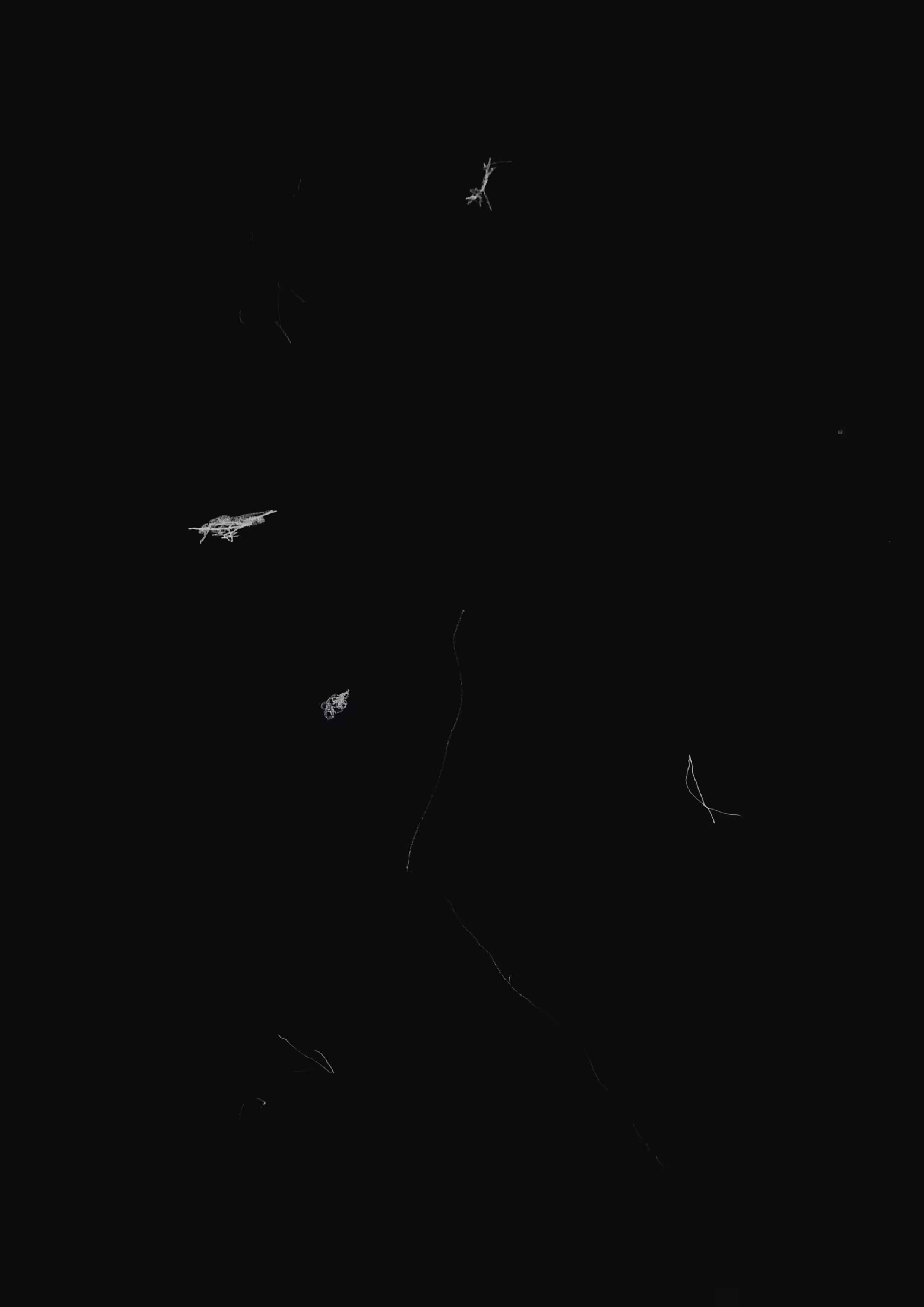 Wall 9166
