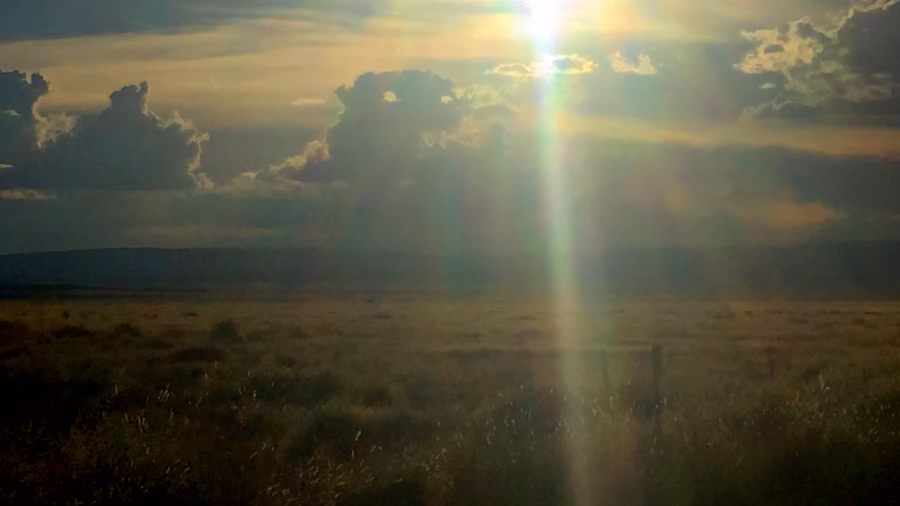 marfa