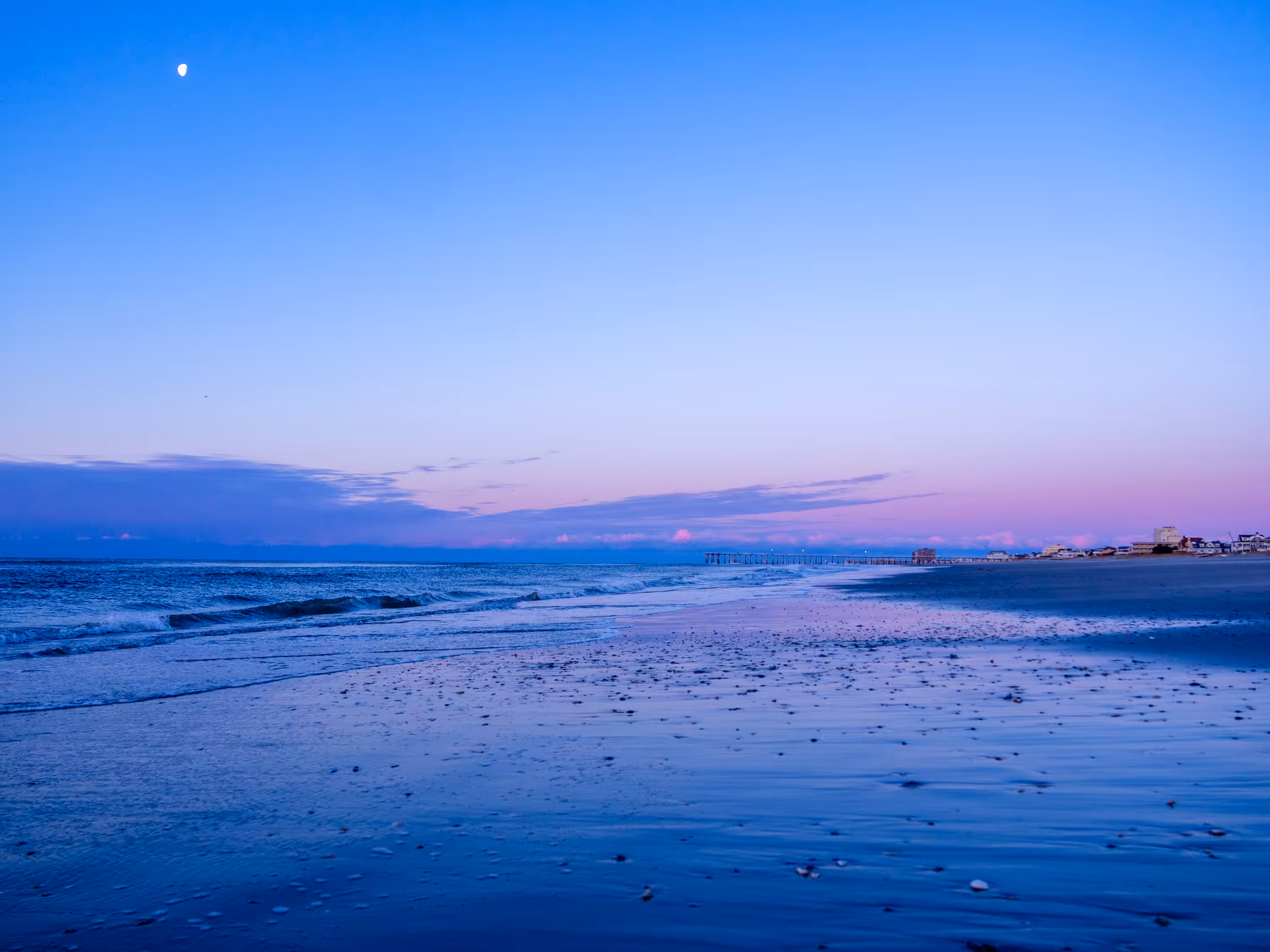 Blue Obsession