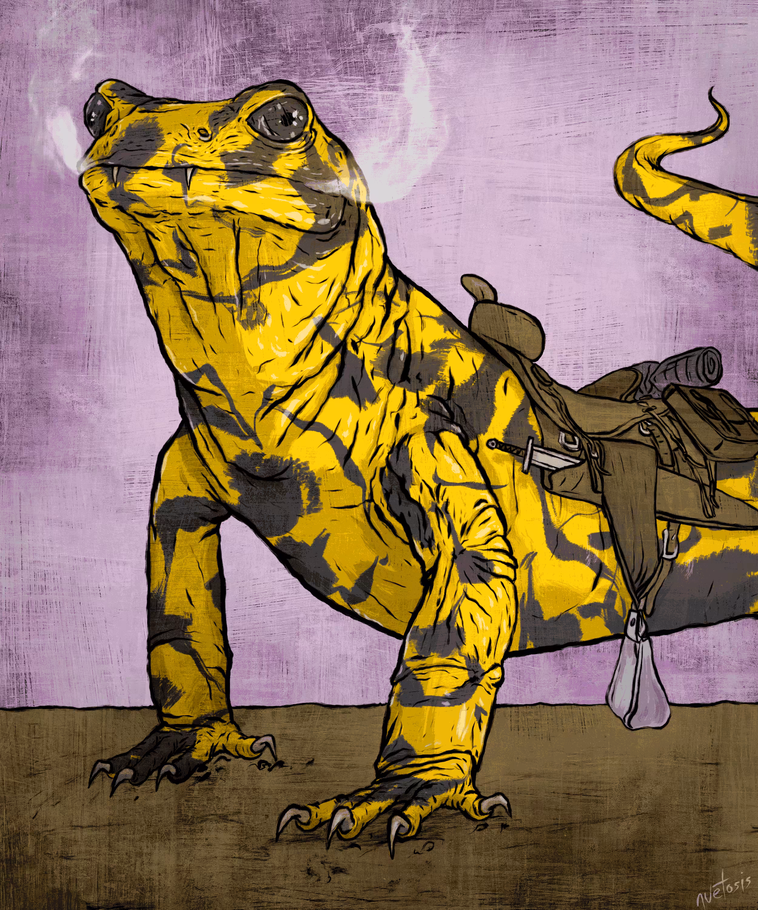 Fire Salamander 10