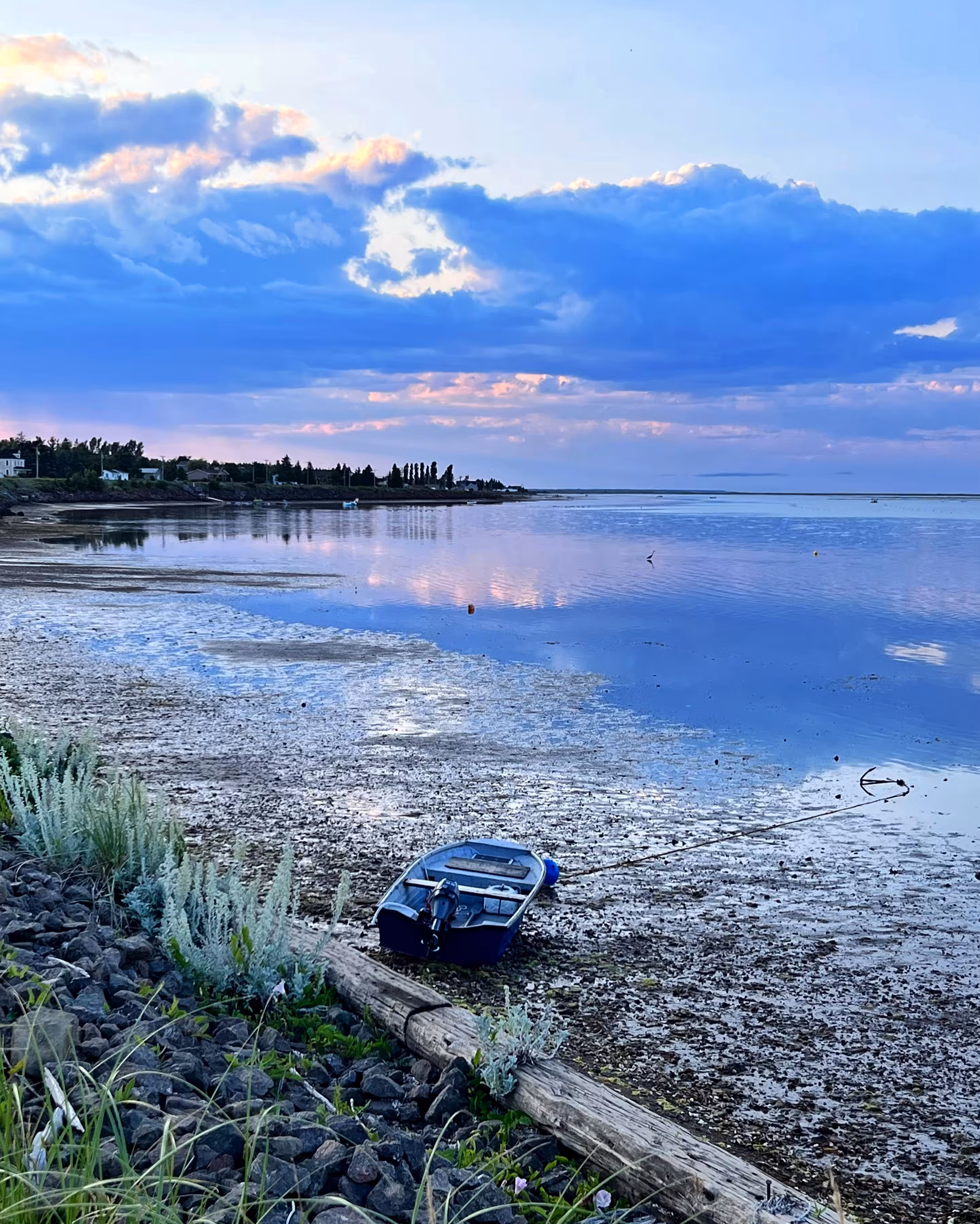 Low Tide