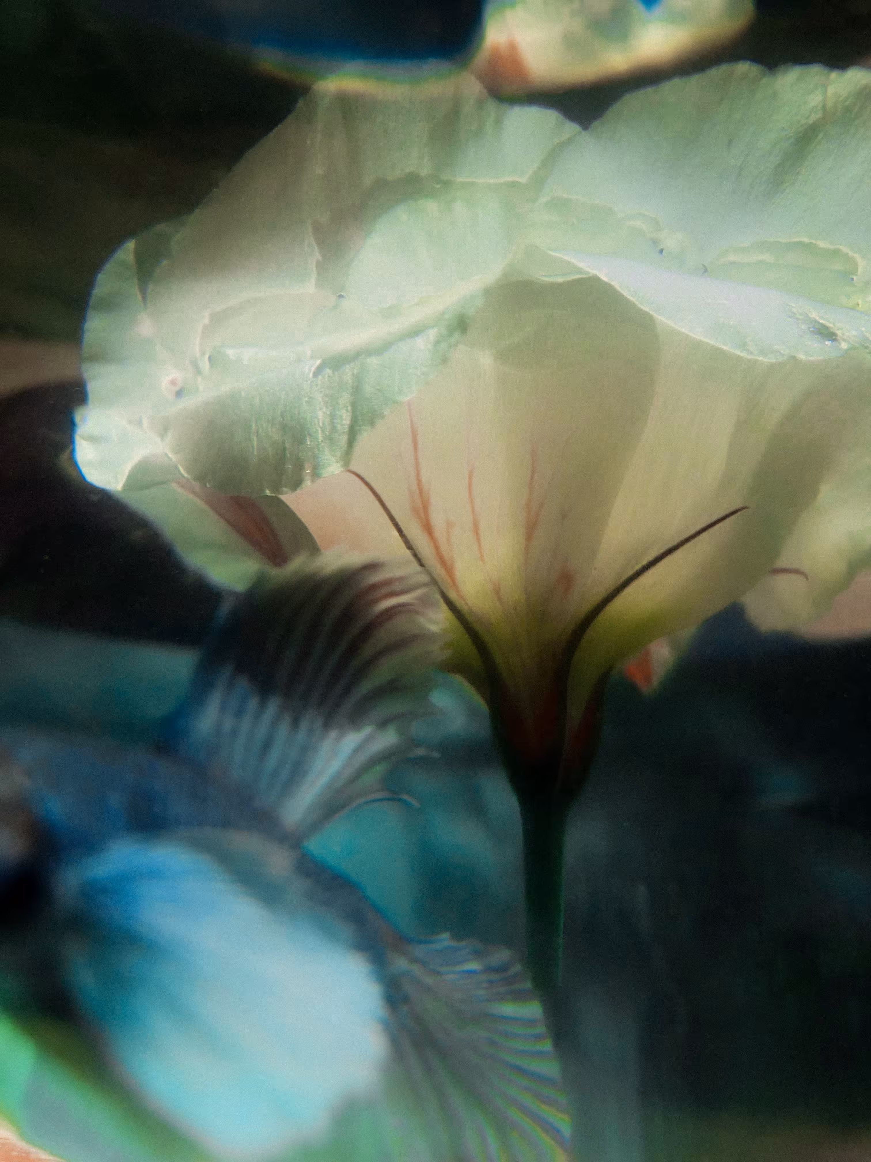 Underwater