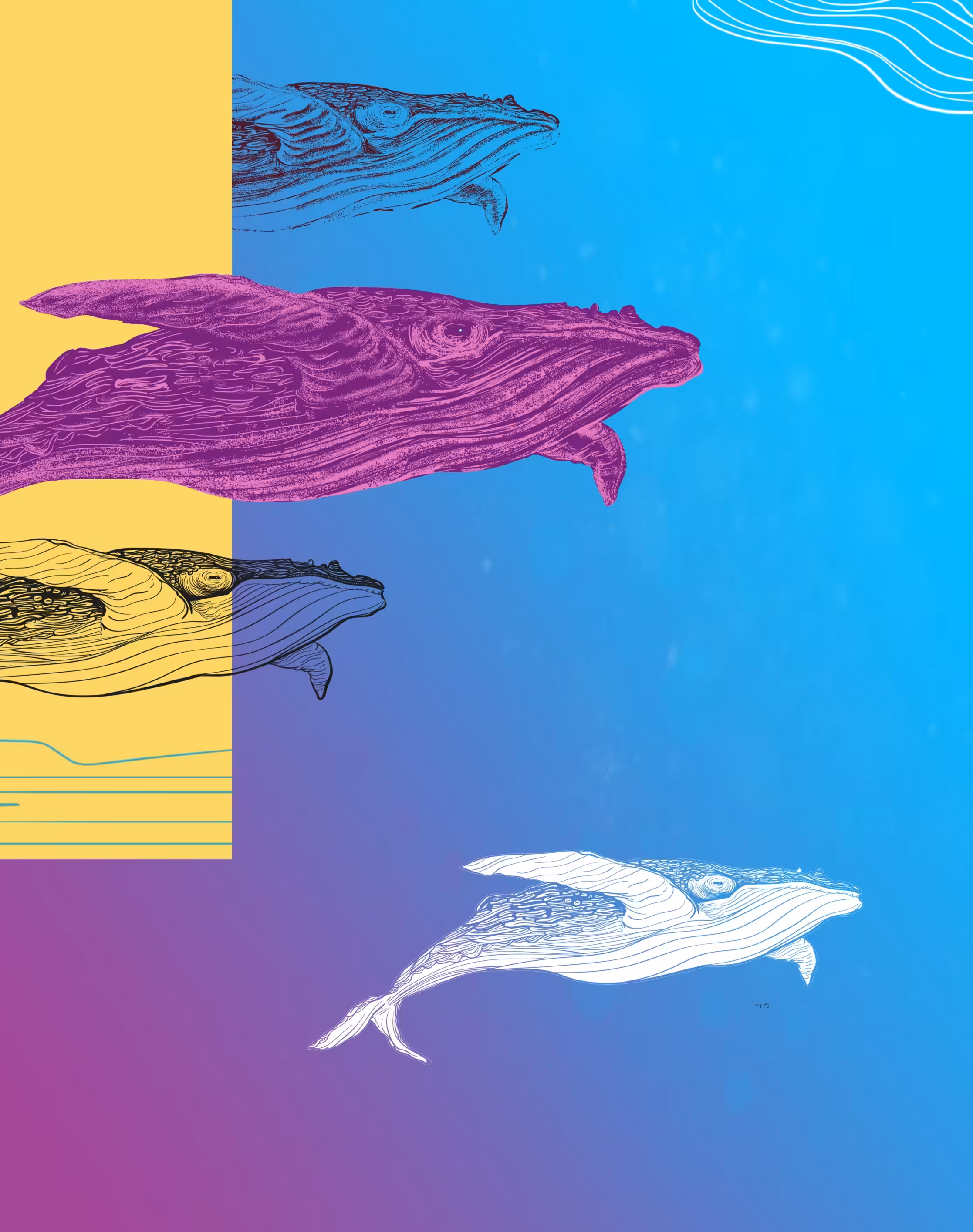 Whale time