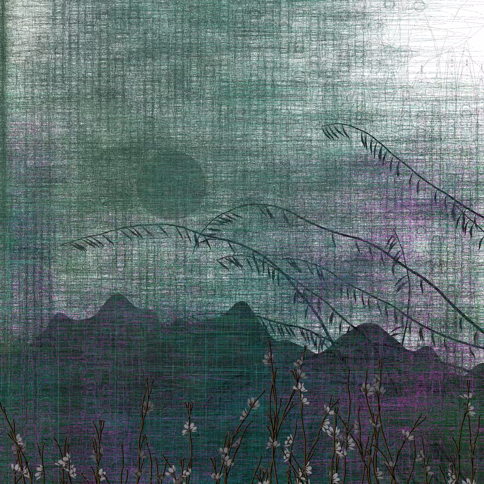 Echoes #81