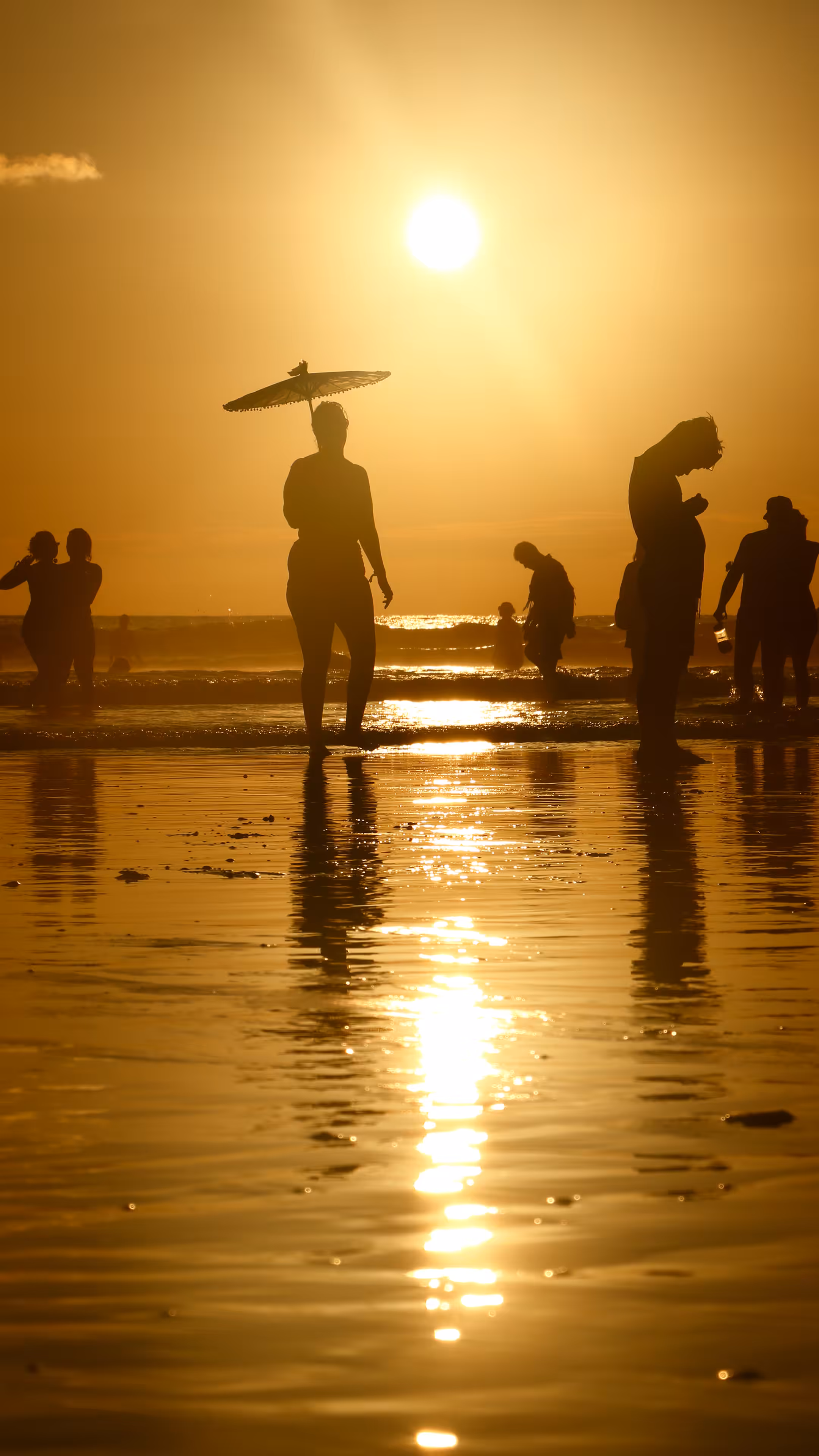 SUNSET & HUMAN