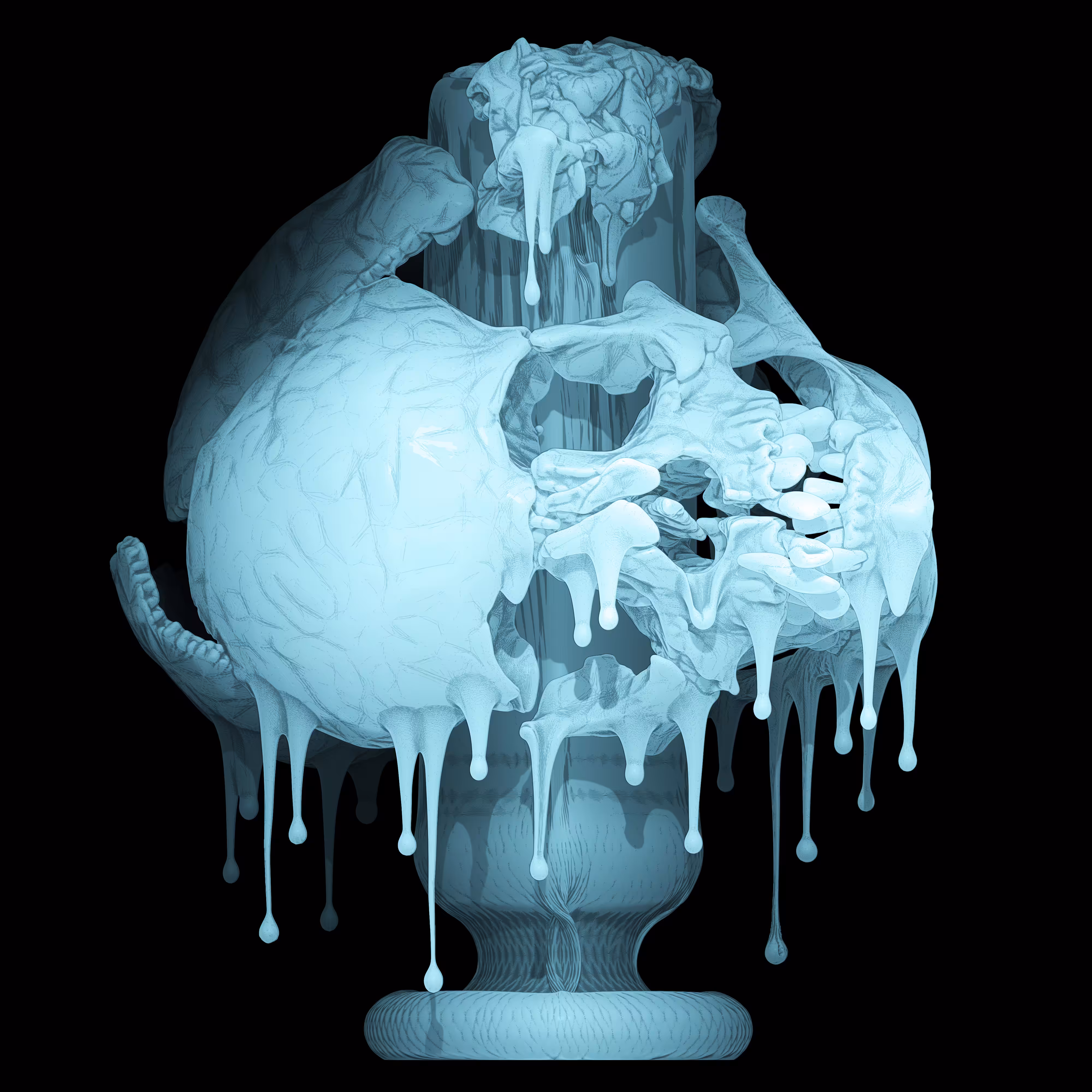 Skin Hodlr #10 (X-ray)