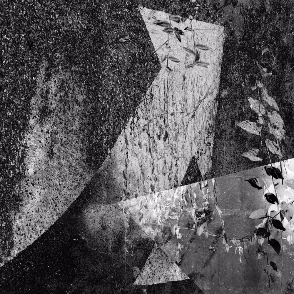 Subjective photography #1 #24