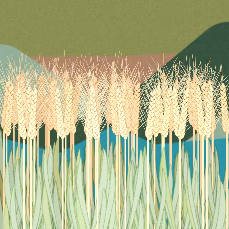 Symbiosis #27