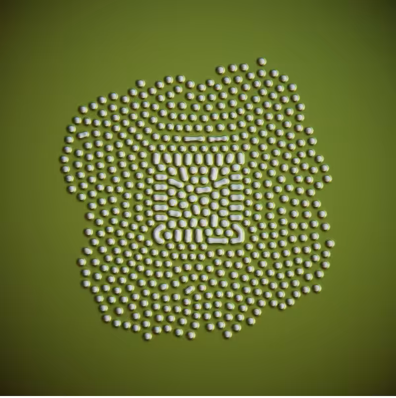 Biomechanika #201