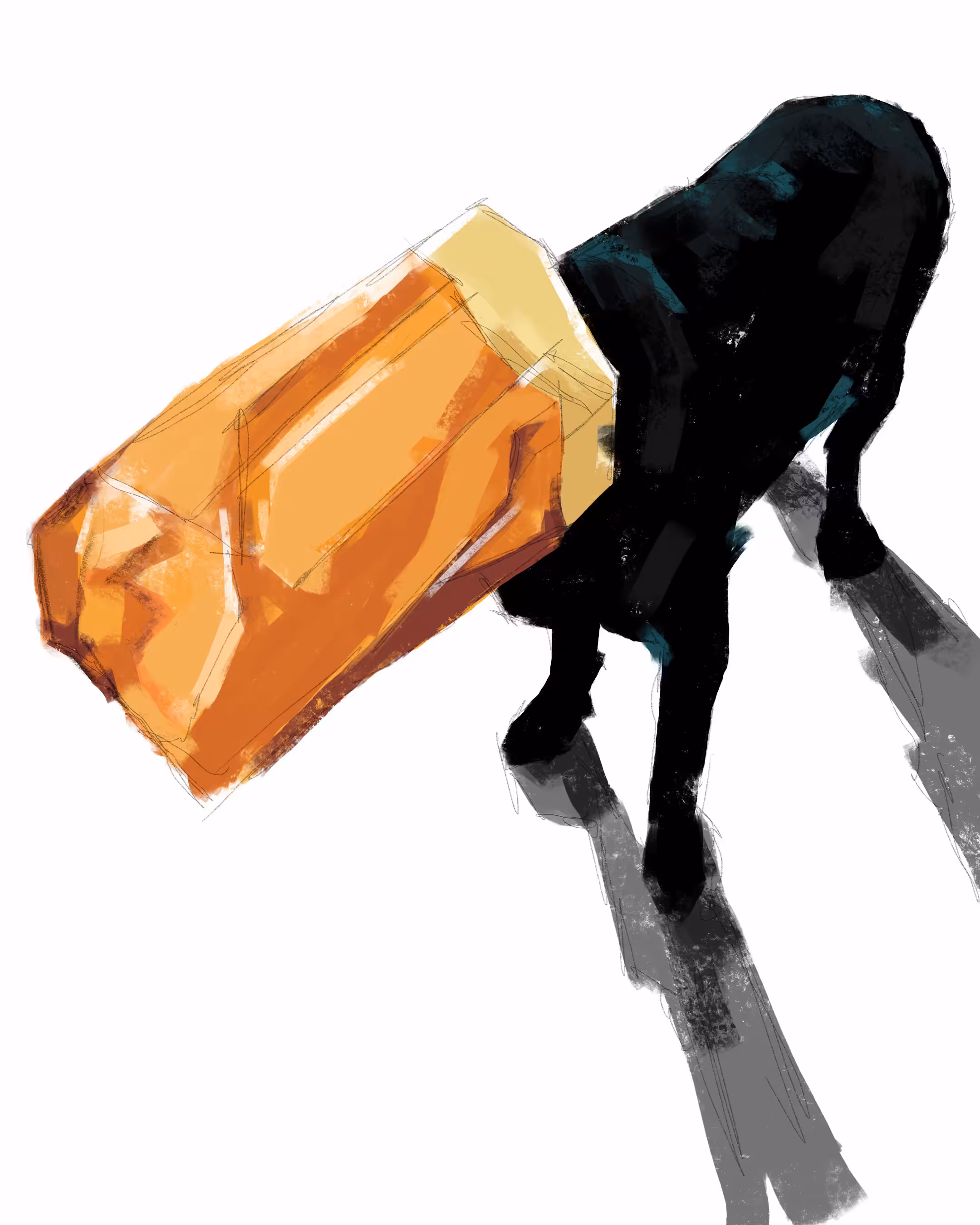 dog in a bag