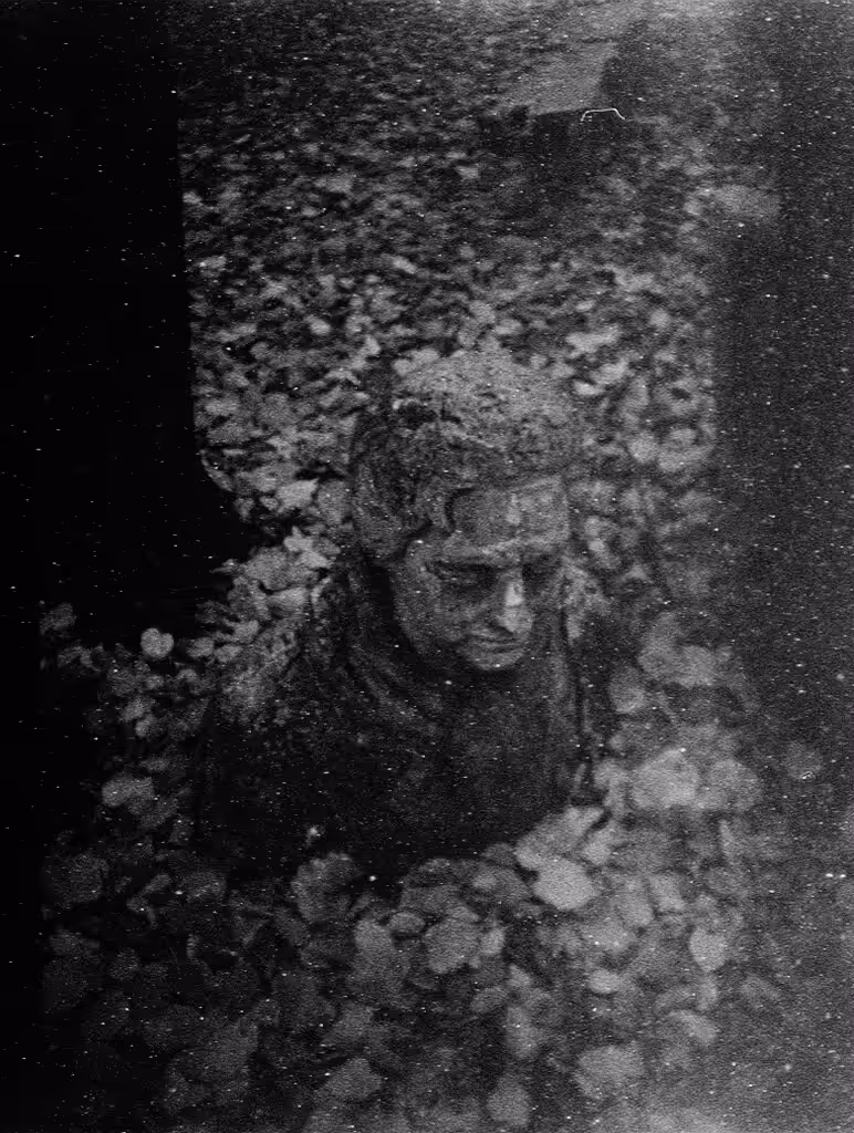 forgotten