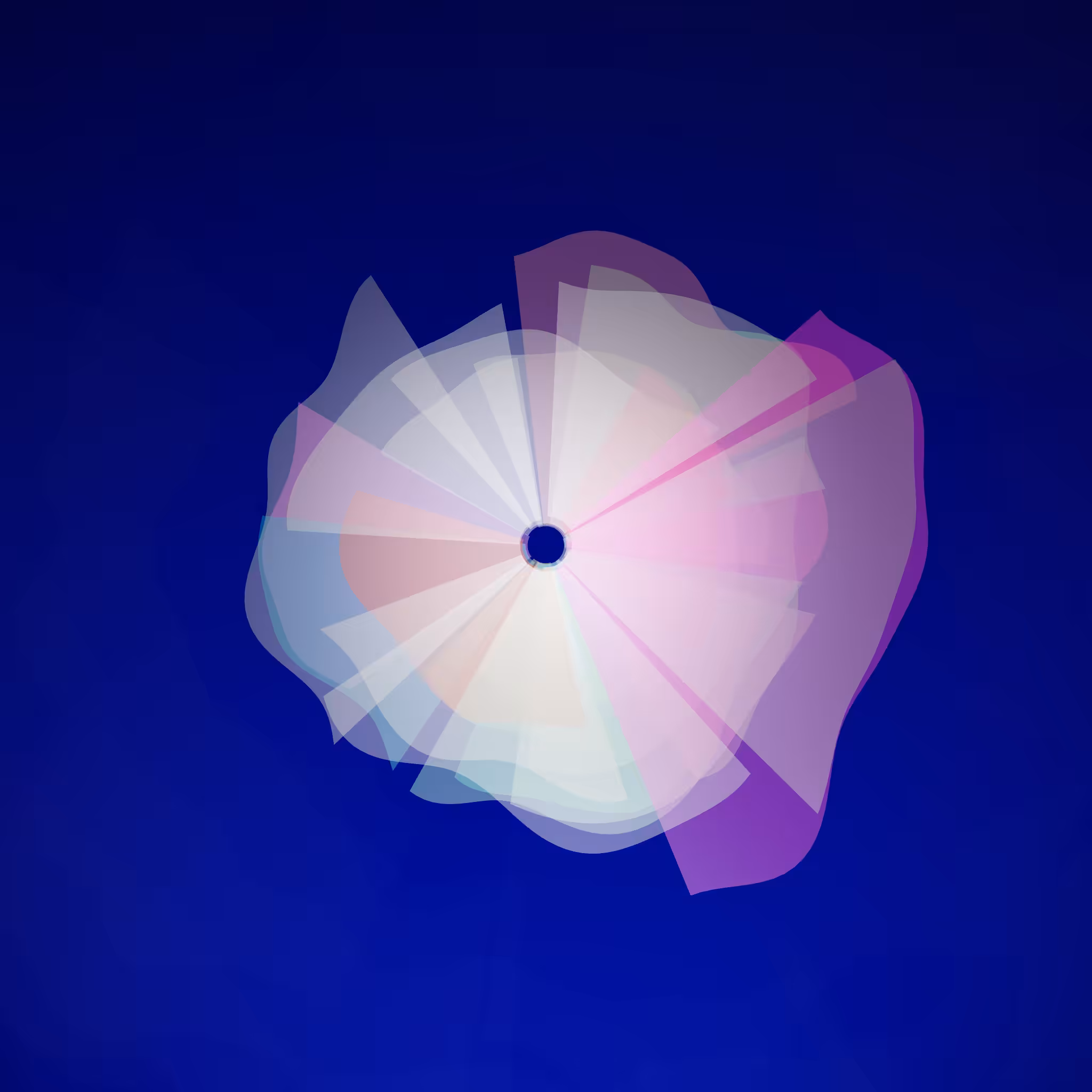 Supernova poppy #3
