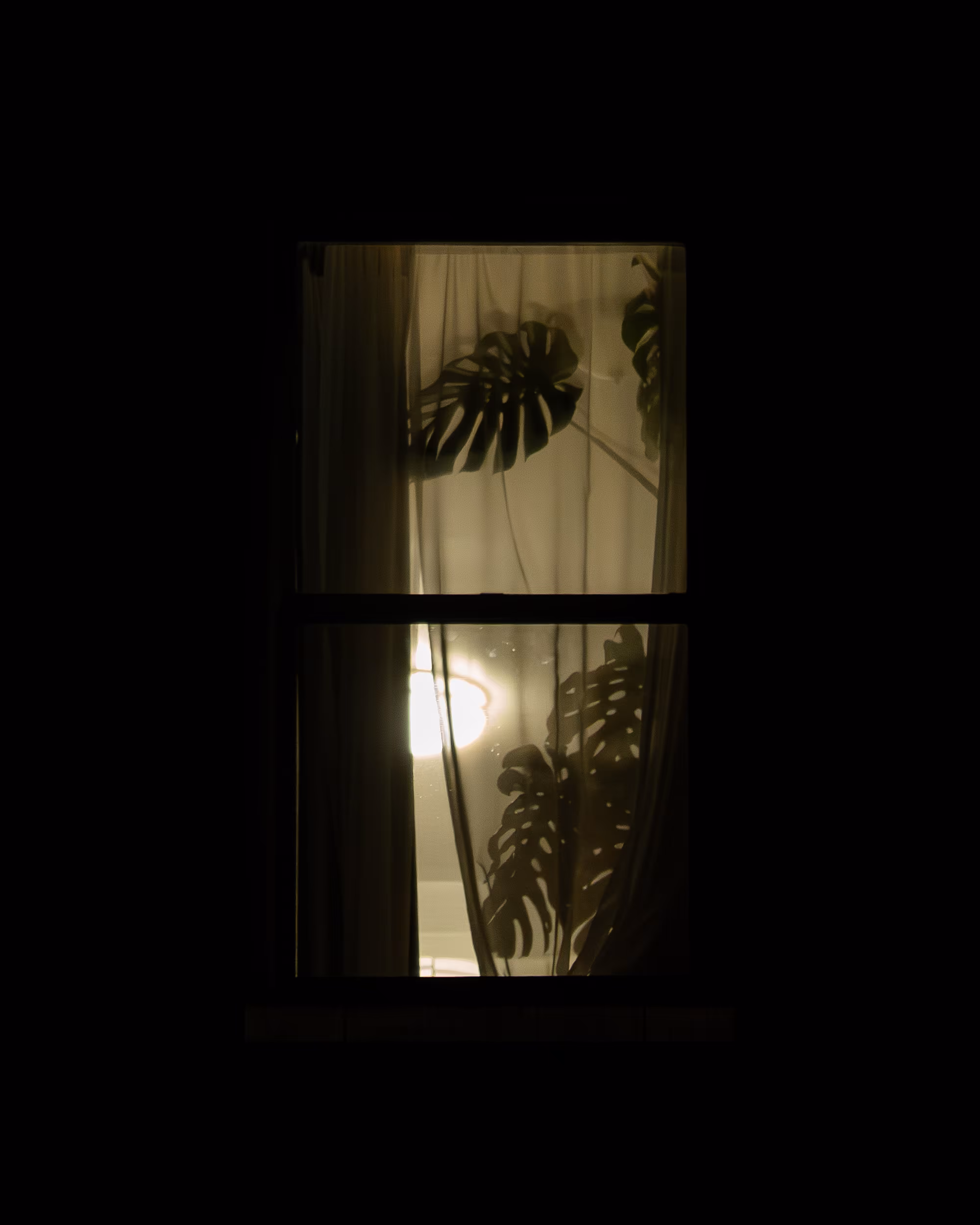 WINDOWS // NYC: WINDOW 602