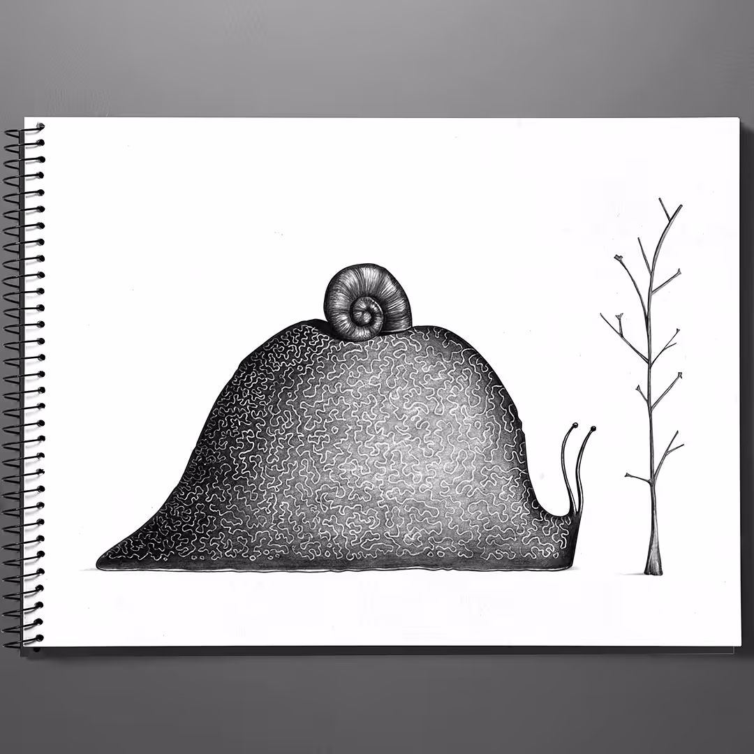 SKETCH 31