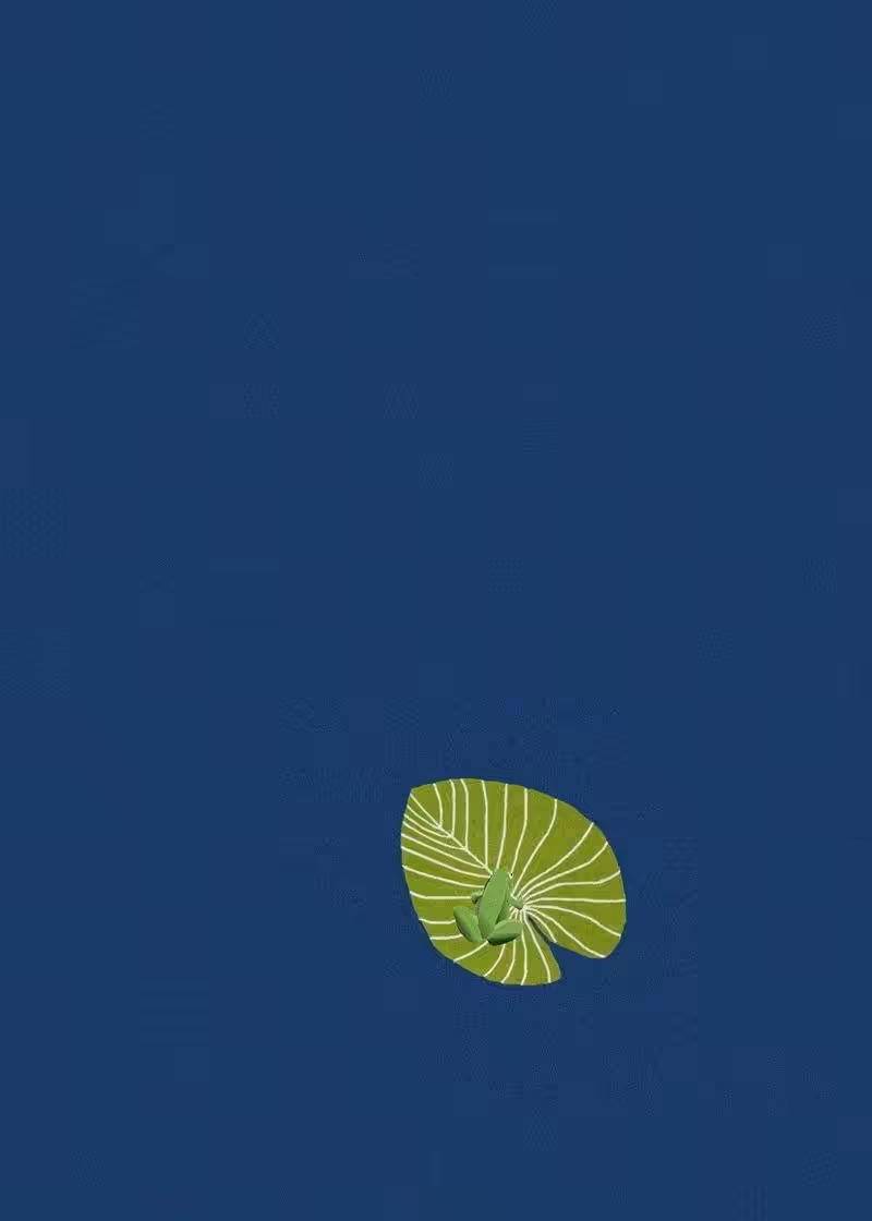 LILYPAD | Series 8 Card 422