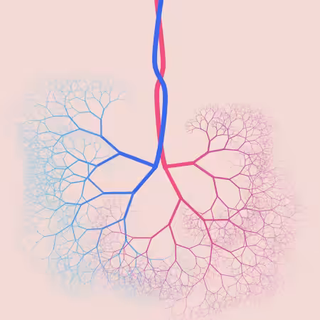 capillary trees #25