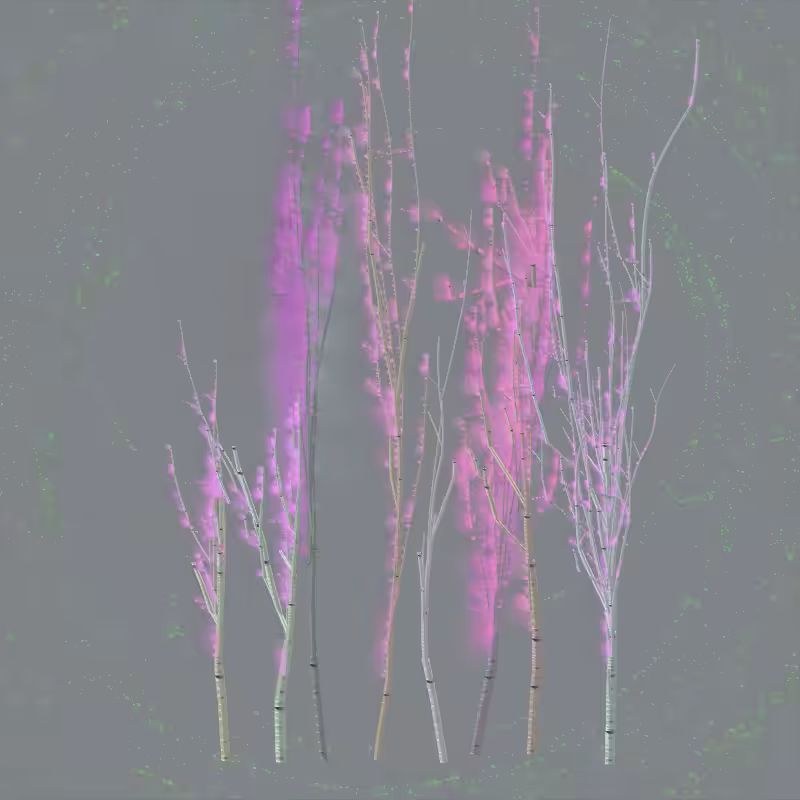 Grove #36