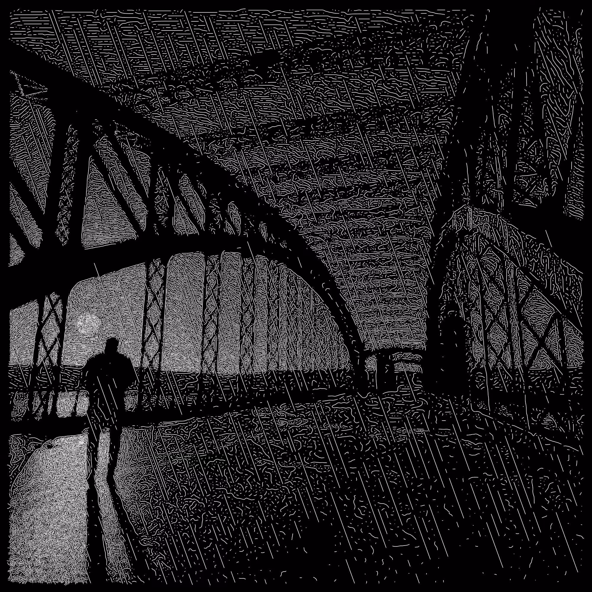 Bridge study