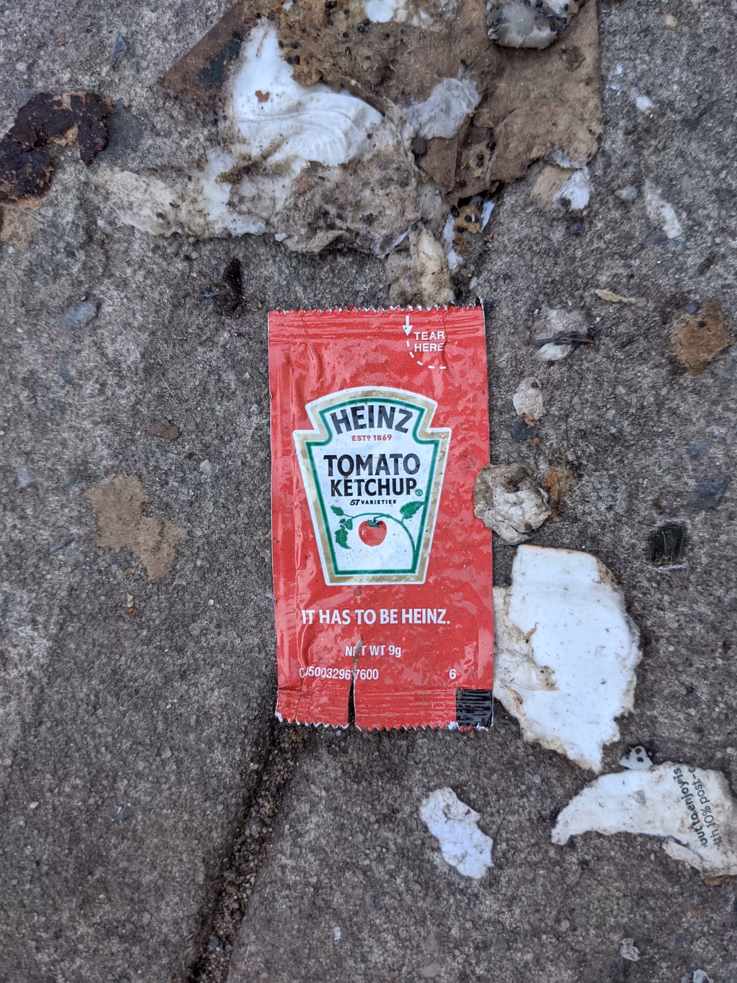 Ketchup #19