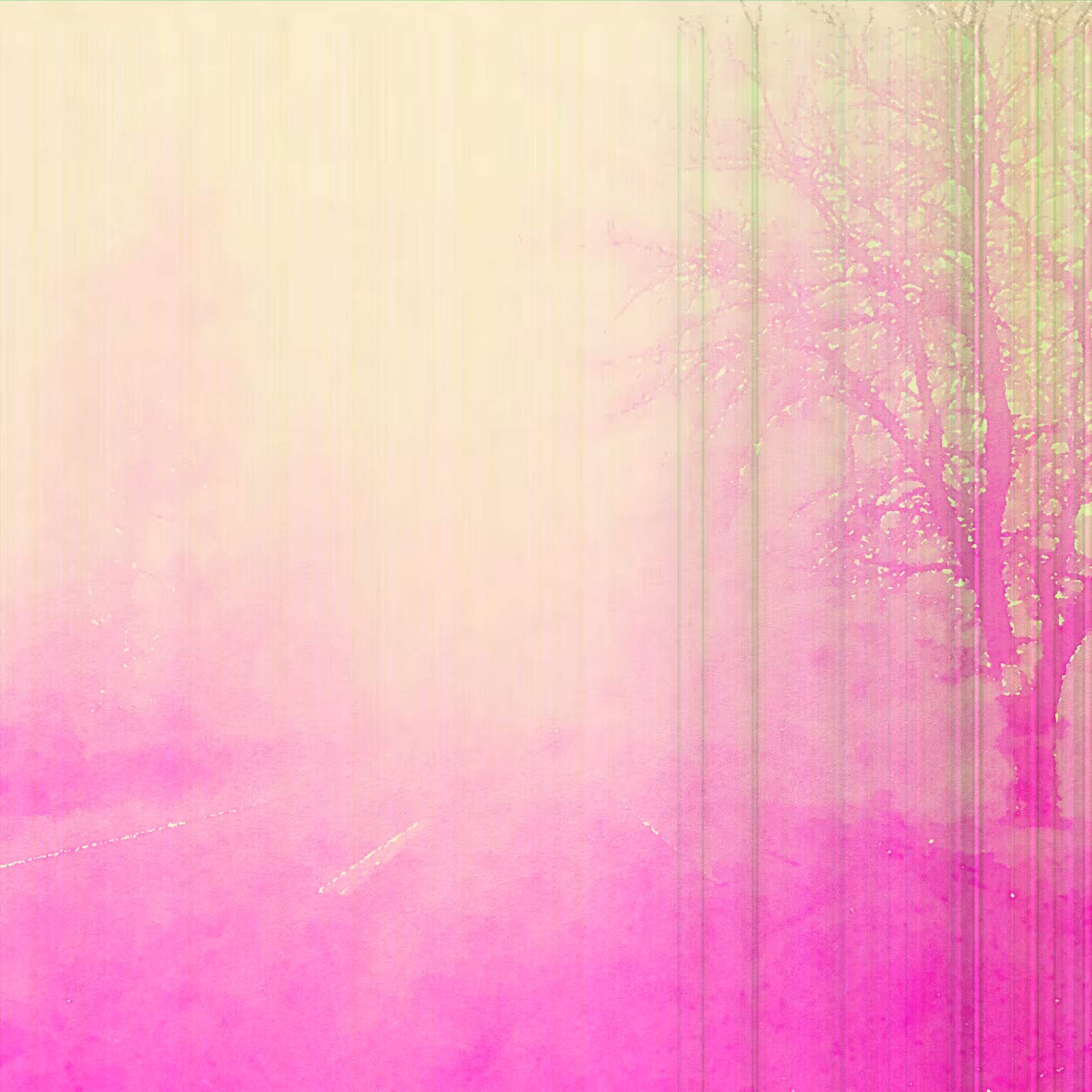 Autumnal Highway