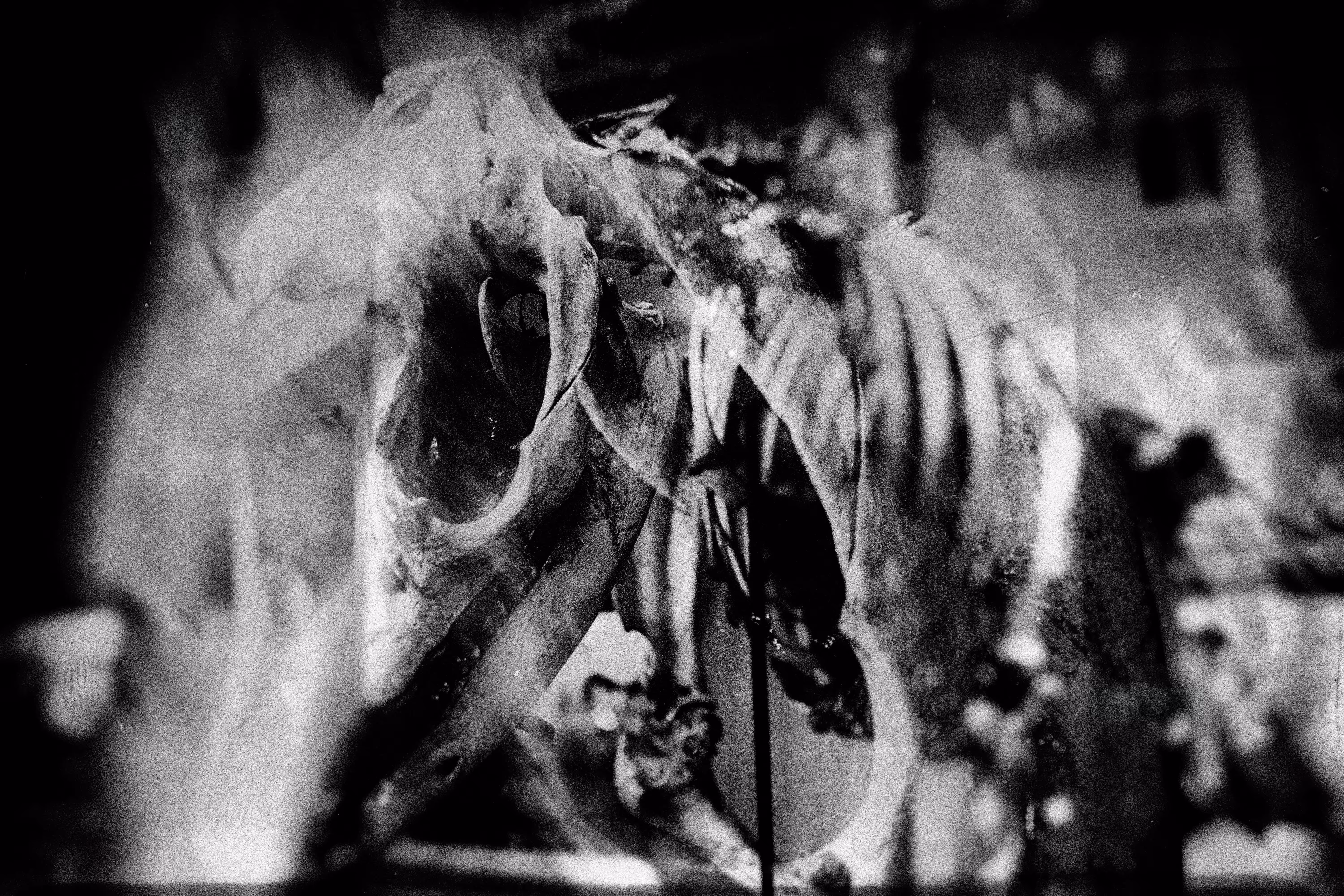 Transitory