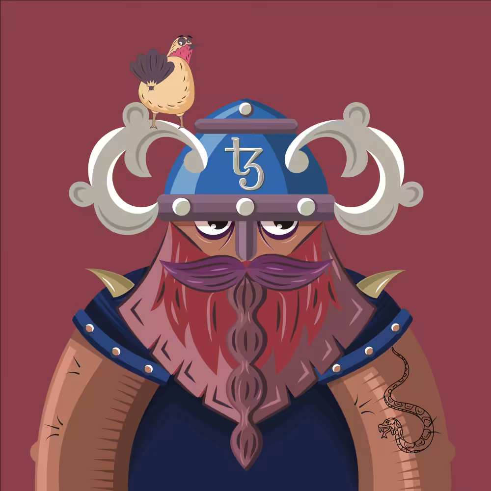 TEZ VIKINGS 21