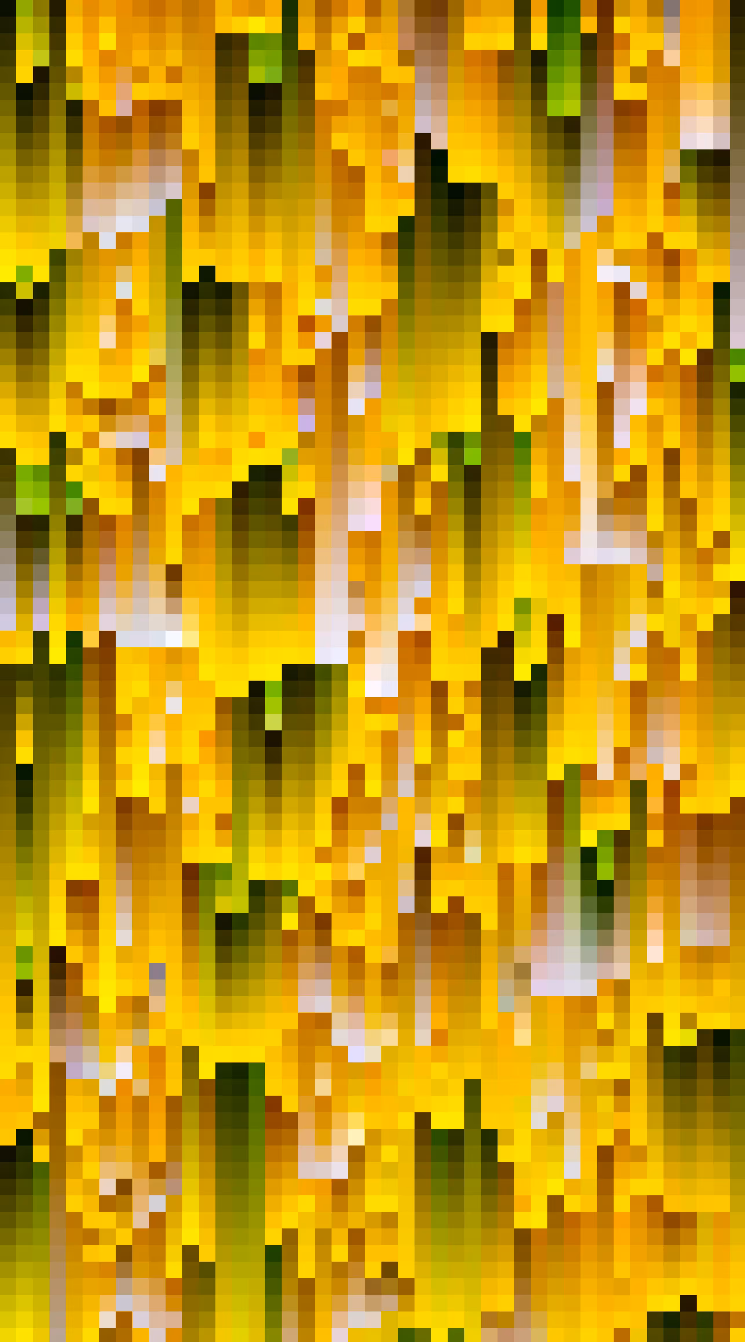 Calendula Pixelinalis