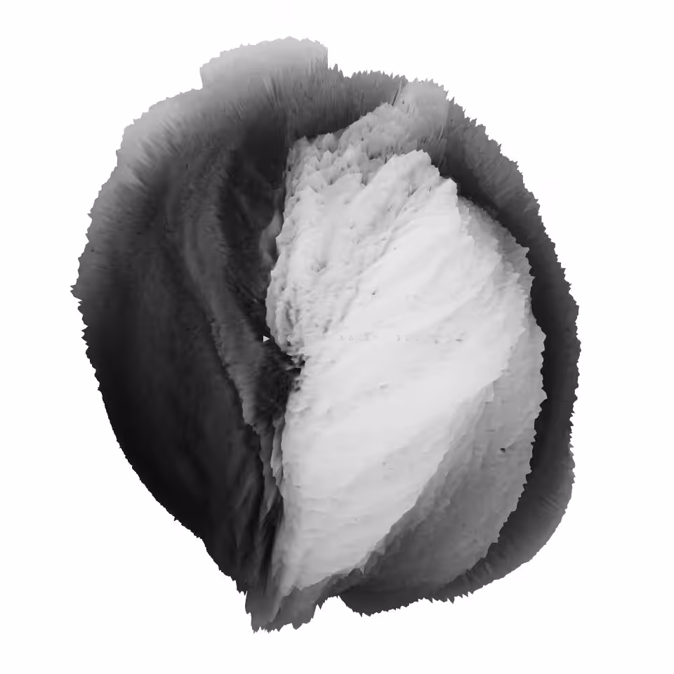 FE/08[-36.5°, 322.7°]