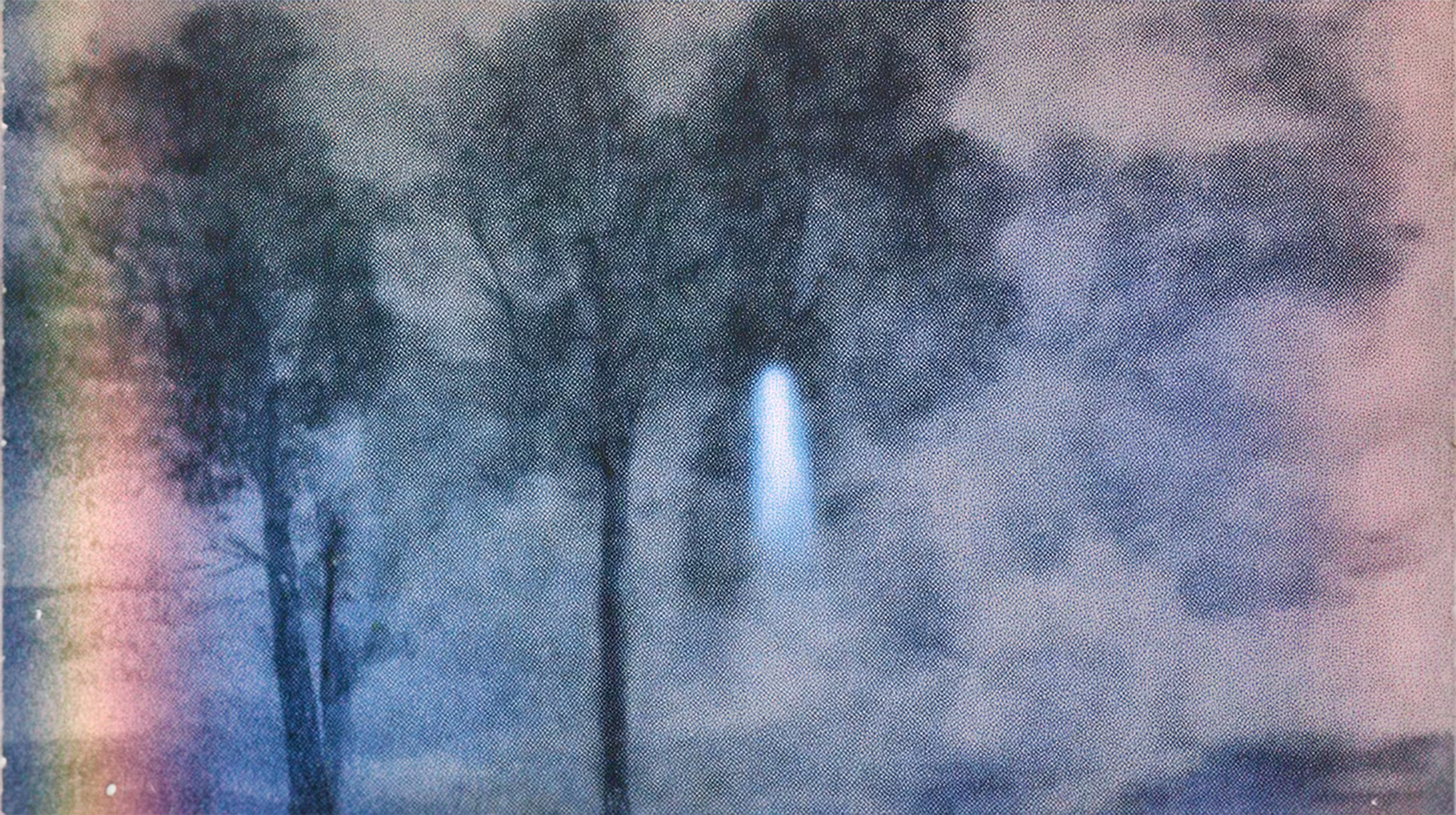 A Phantom in the Woods