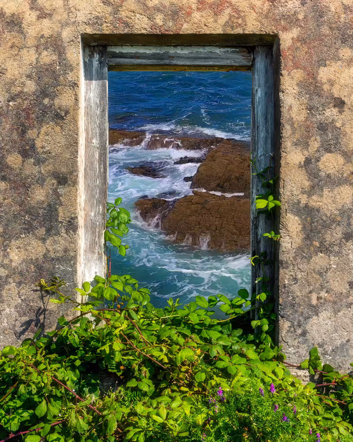 Window to the Wild Atlantic