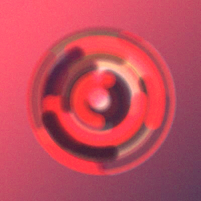 Wisp #902