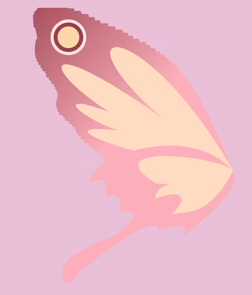 butter+fly #7