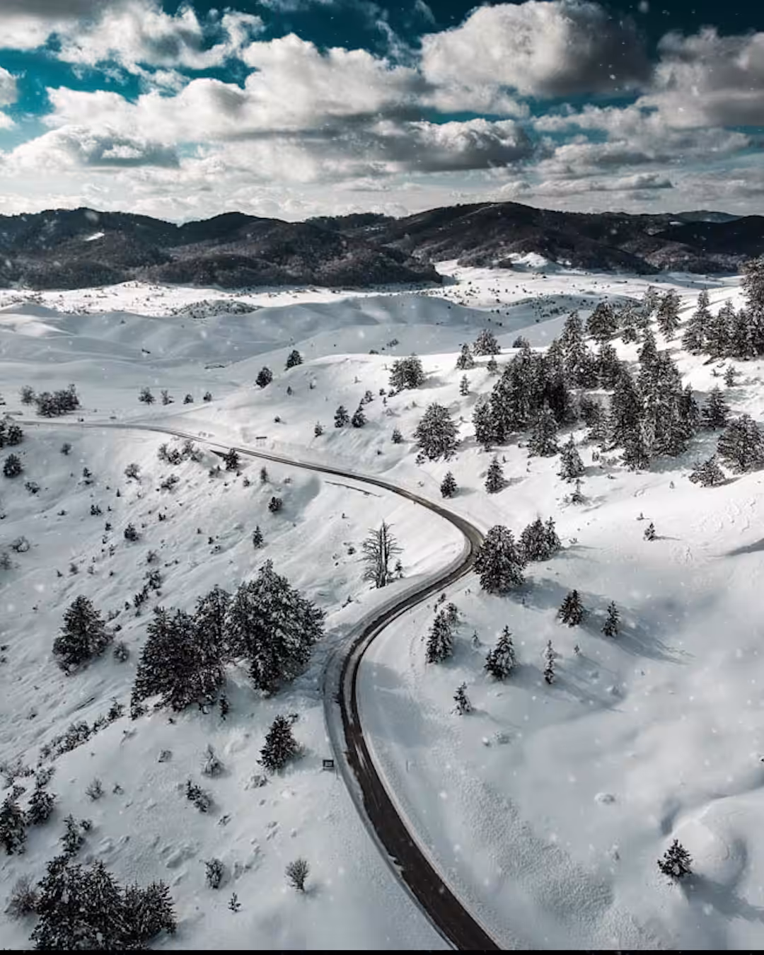 Frozen