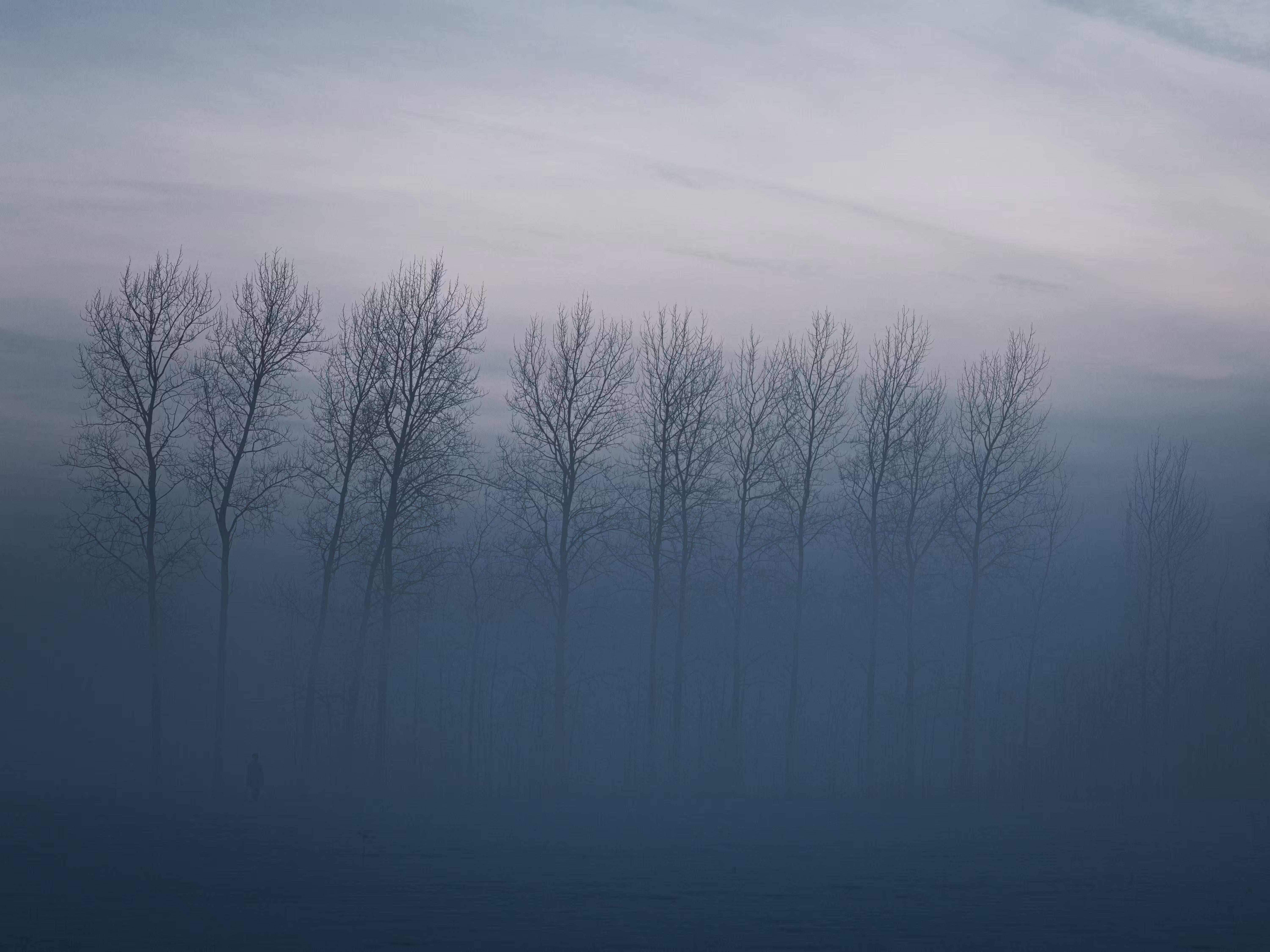 HARMONIA: Echoes of Silence