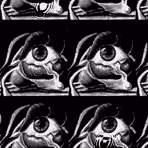 Ti vedo (black and white variant)
