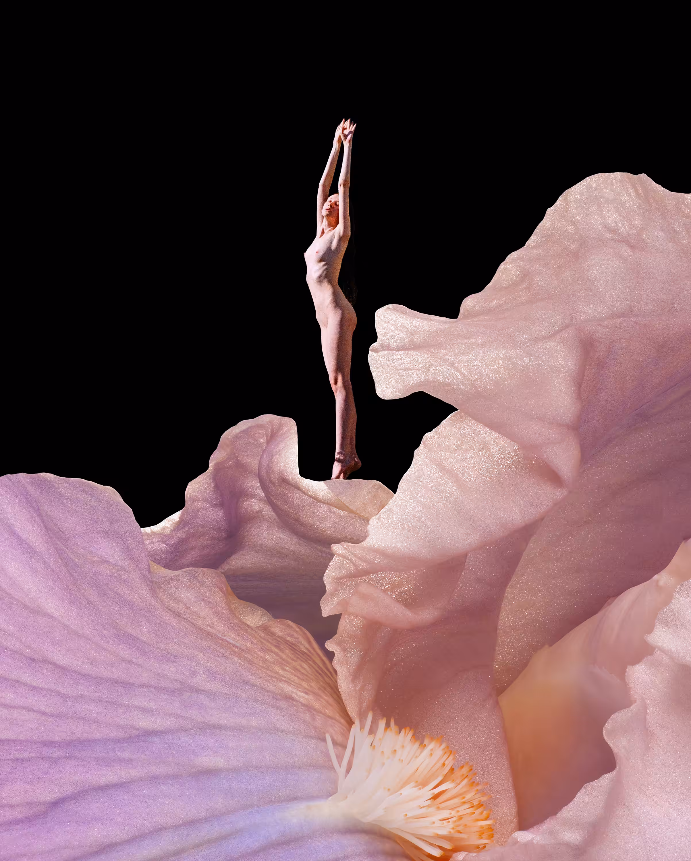 Flowermania #13